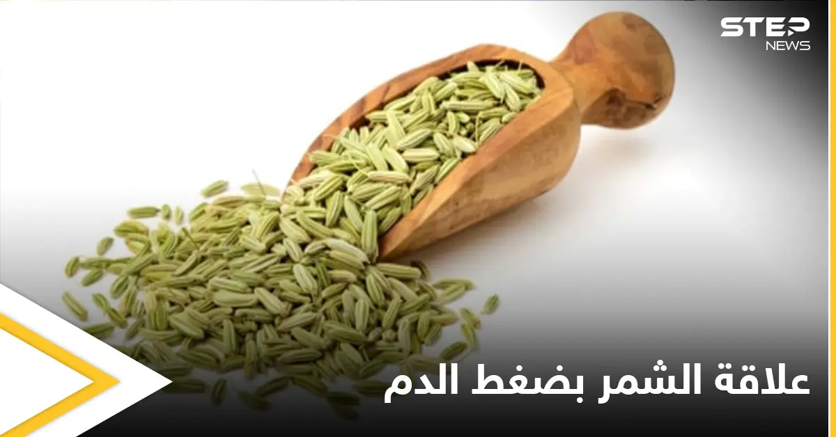 ما هو الشمر وكيف يساعدنا على التحكم بارتفاع وهبوط ضغط الدم تعرّف على التفاصيل: ضغط الدم