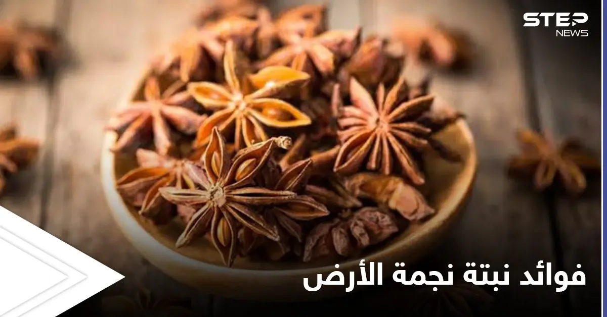 نجمة الأرض لعلاج الجهاز الهضمي وهشاشة العظام وفوائد أخرى تعرف عليها: اليانسون