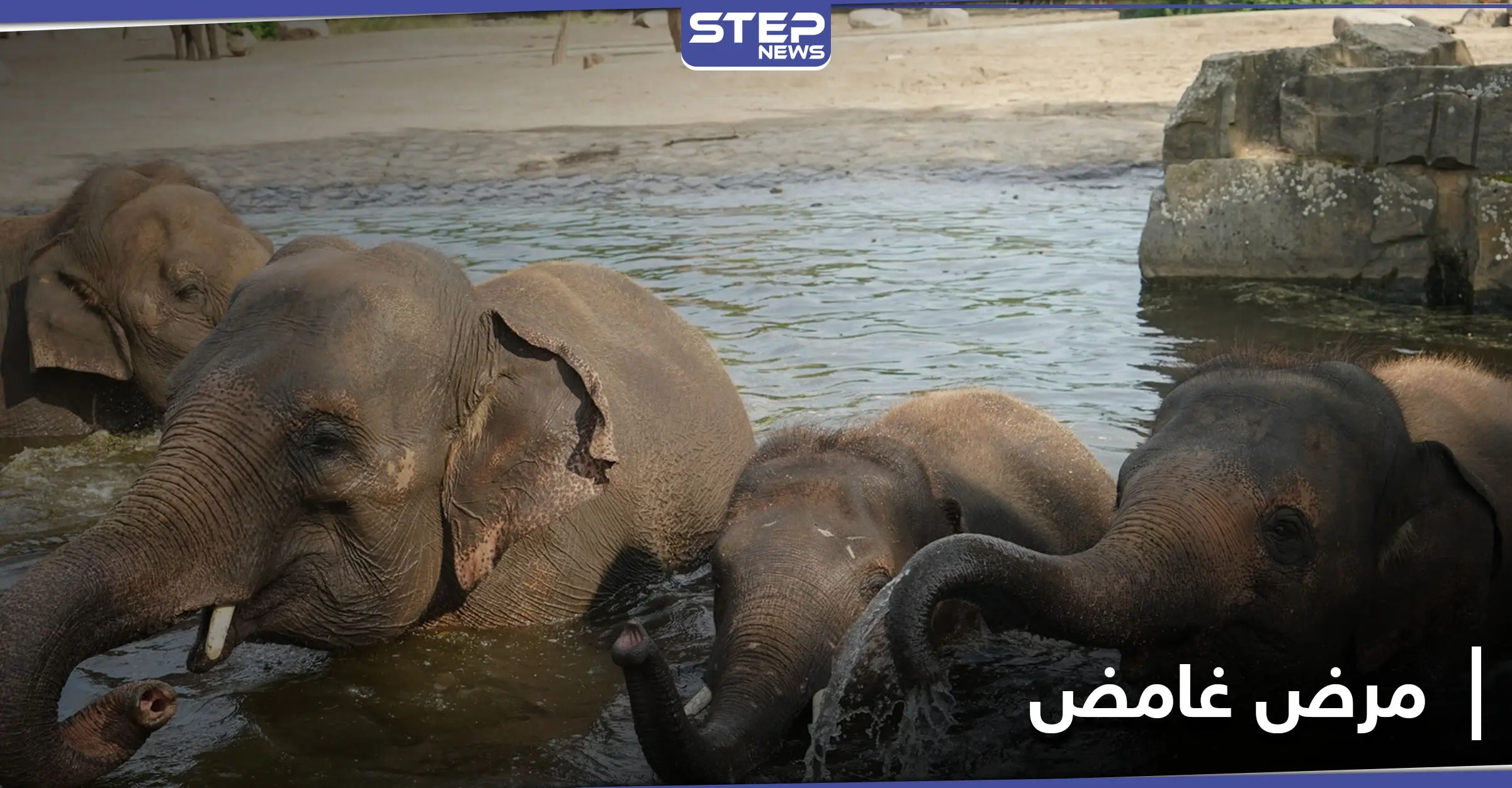 "بانتظار الفحوص المختبرية" مرض غامض يضرب في زيمبابوي.. إليك تفاصيله: زيمبابوي