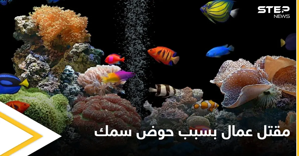 حوض أسماك الزينة يتسبب بمقتل عمال في الإمارات والسلطات تحقق في الحادثة: دولة الإمارات