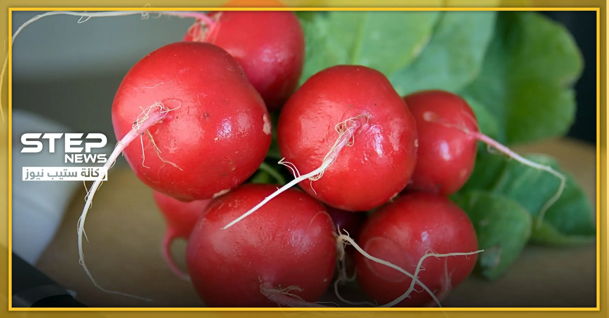 فوائد الفجل.. 8 علاجات هامّة بتناول الفجل أبرزها مكافحة الخلايا السرطانية: سرطان القولون