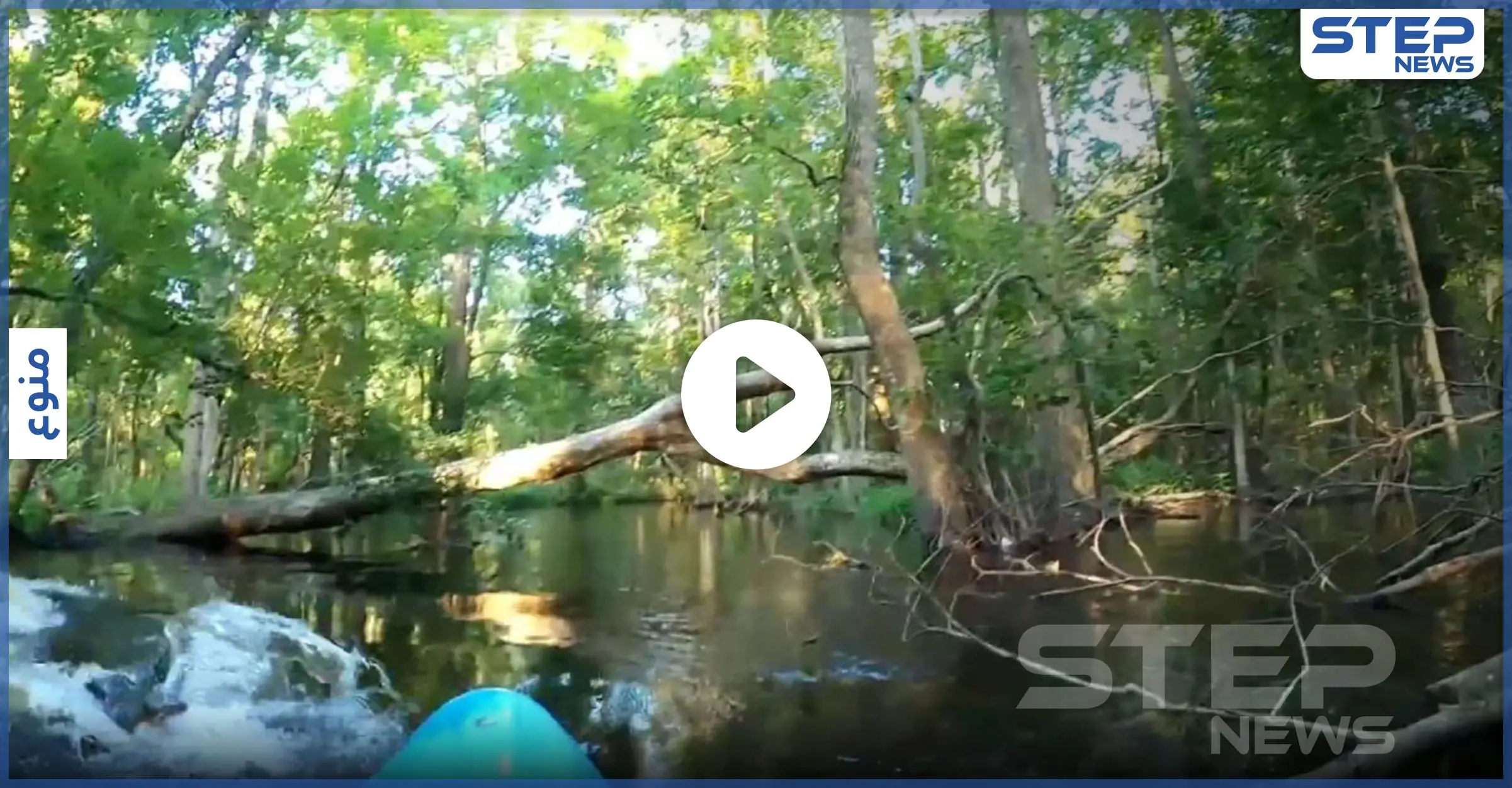 بأعجوبة رجل ينجو من فكّي تمساح هاجم قاربه وكاميرا مثبته على القارب توثق الحادثة: رجل أمريكي