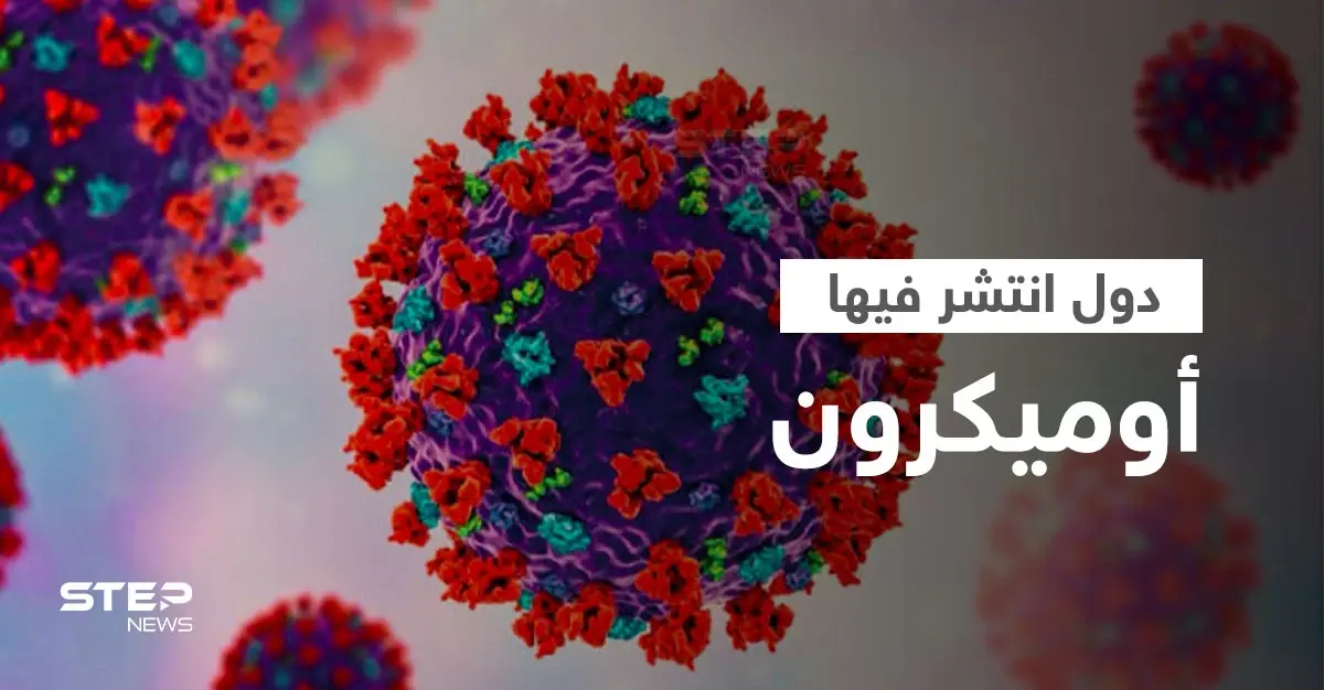 قائمة محدثة بالدول التي وصل إليها متحور كورونا الجديد "أوميكرون": هولندا