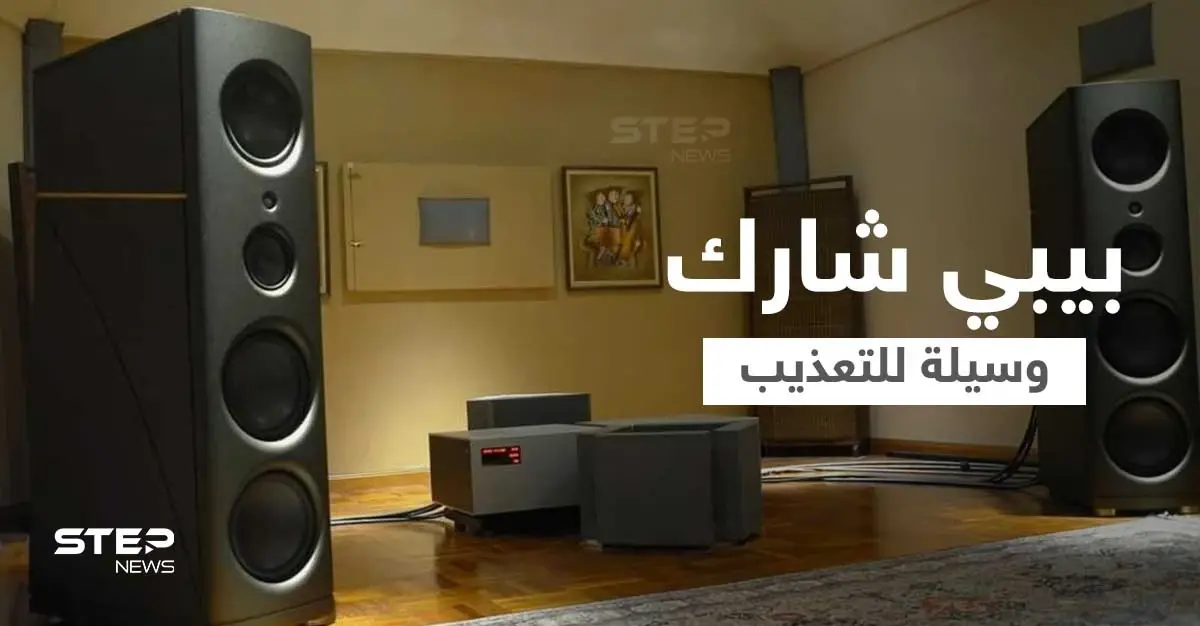 أغنية "بيبي شارك" الشهيرة إحدى وسائل التعذيب... معتقلون يكشفون كيف استخدمت أغنية الأطفال للإساءة إليهم في المعتقلات: محكمة فيدرالية