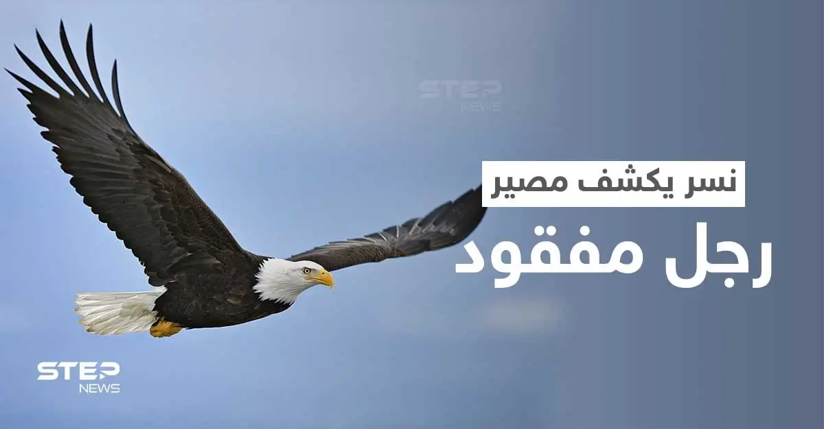 نسر يحلّق فوق منطقة مهجورة يحل لغز غامض ويكشف مصير رجل مفقود منذ أيام: الدفاع المدني