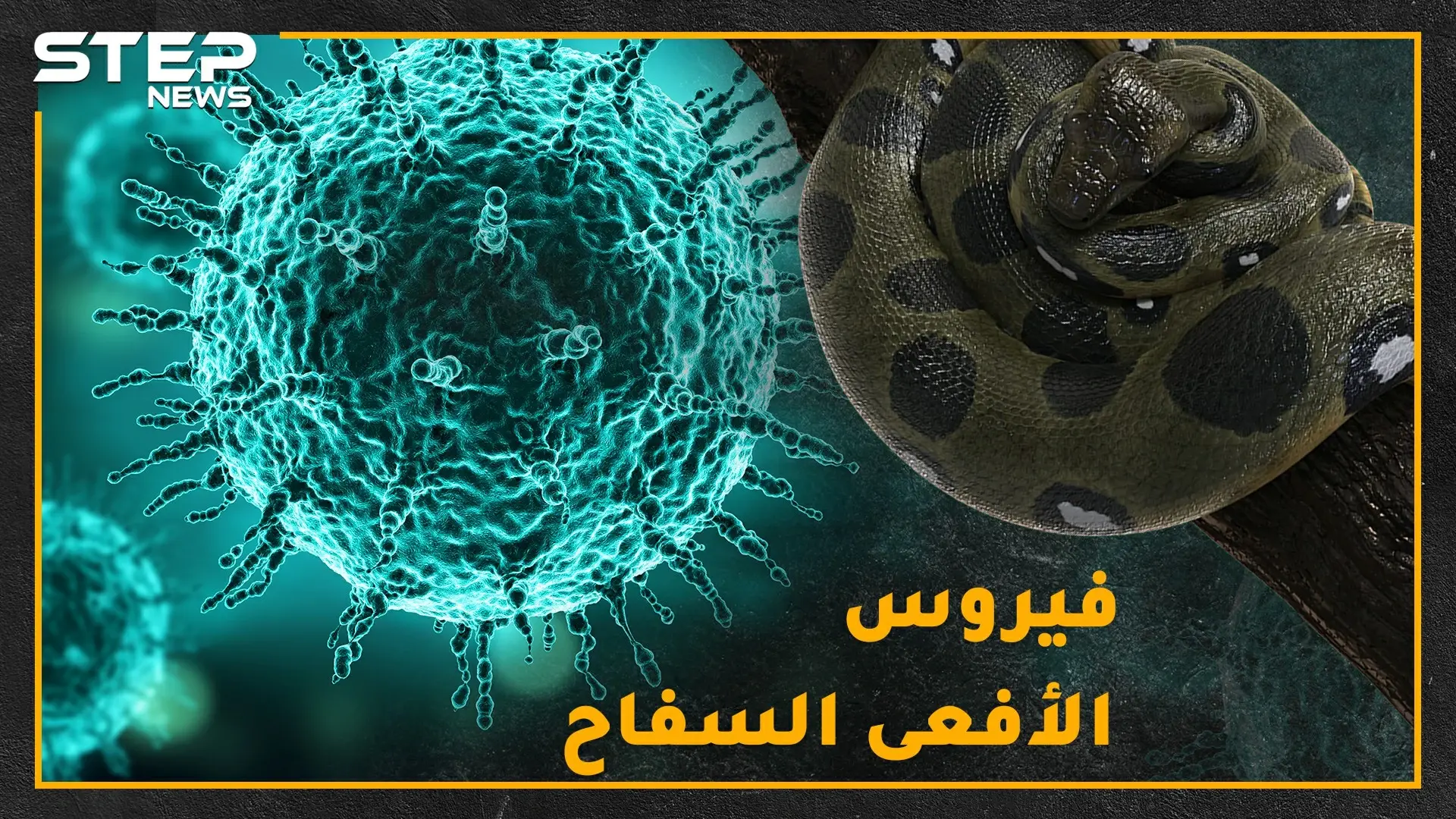 "كورونا" سلاح الأفاعي الجديد لقتل البشر.. هل حقاً فناء البشرية على يد الفيروسات التاجية!؟: فيديوغراف العالم