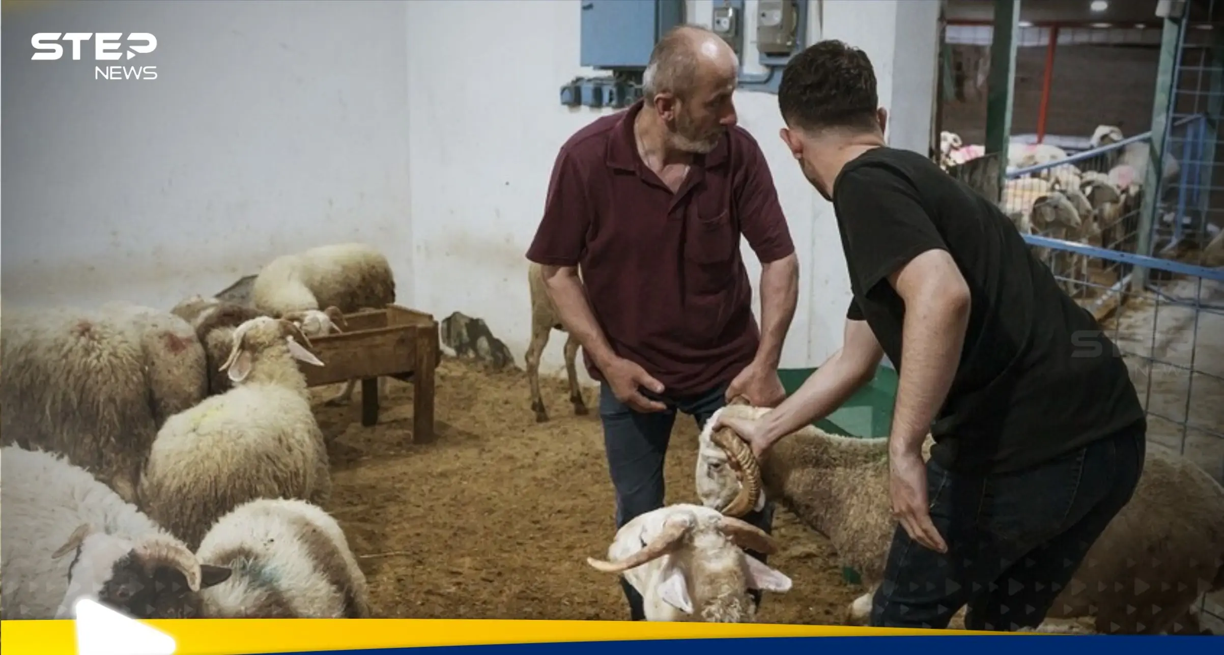 عيد الأضحى: عندما تخرج الأمور عن السيطرة.. تسجيل آلاف الإصابات في تركيا: عيد الأضحى