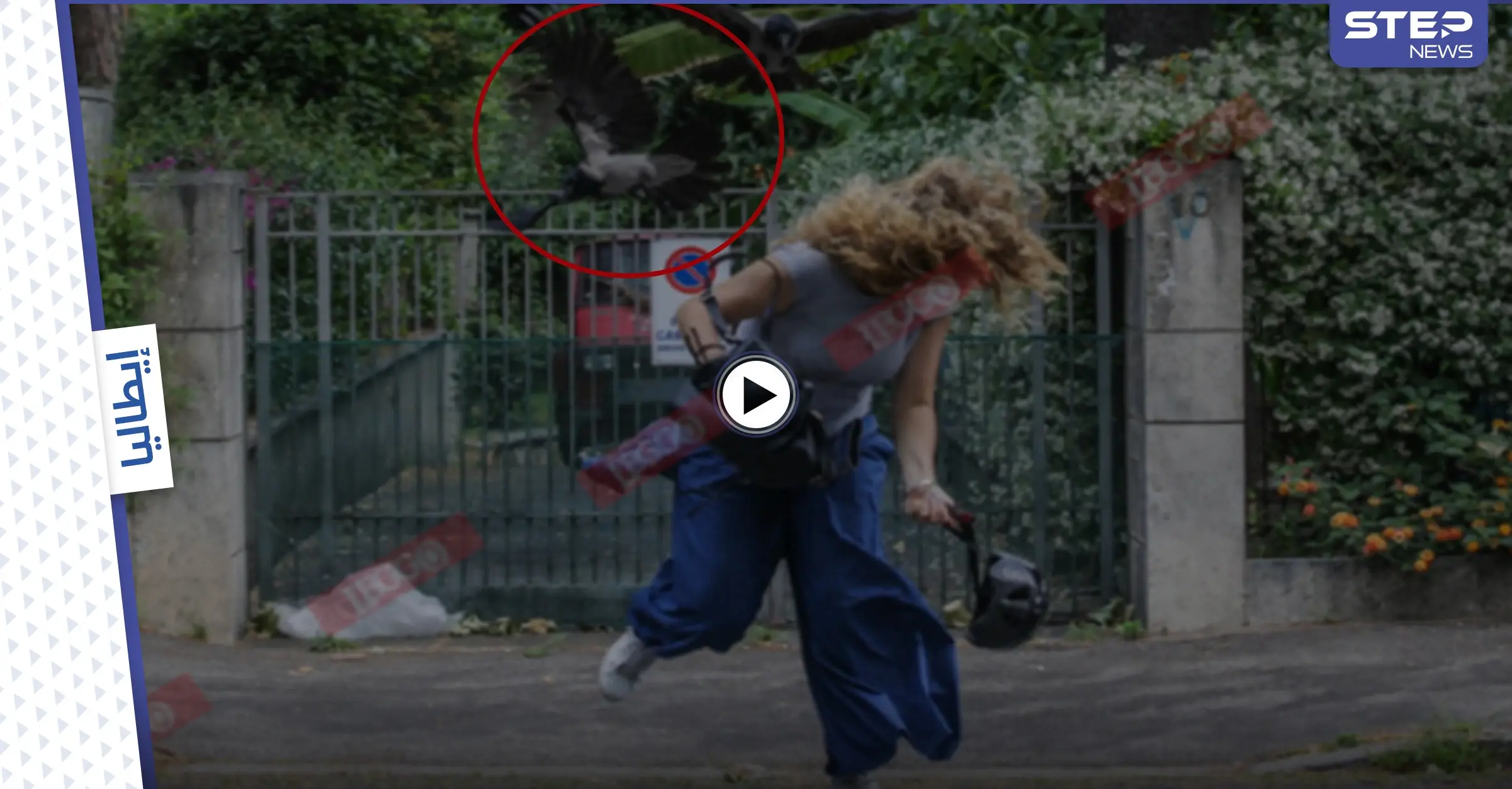 بالفيديو والصور|| خطر قادم من السماء يهدد سكان مدينة روما الإيطالية ويقلق مضاجعهم: طيور الغربان