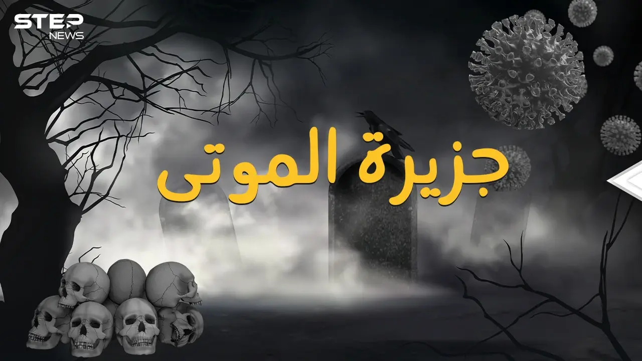 جزيرة هارت الأمريكية ... رقعة من الأرض تحولت لمقبرة جماعية والسبب!!: نيويورك