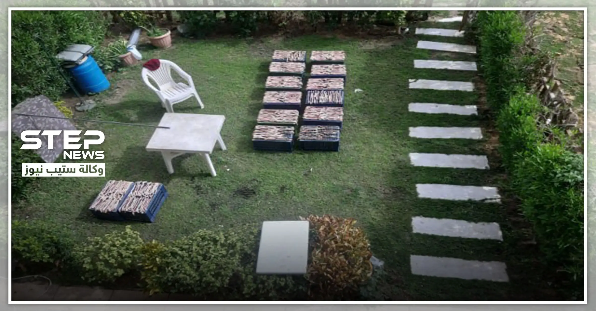 بالصور|| الأمن المصري يضبط مجموعة صينيين تعد كمية ضخمة من الثعابين كوجبة غذاء: الامن المصري