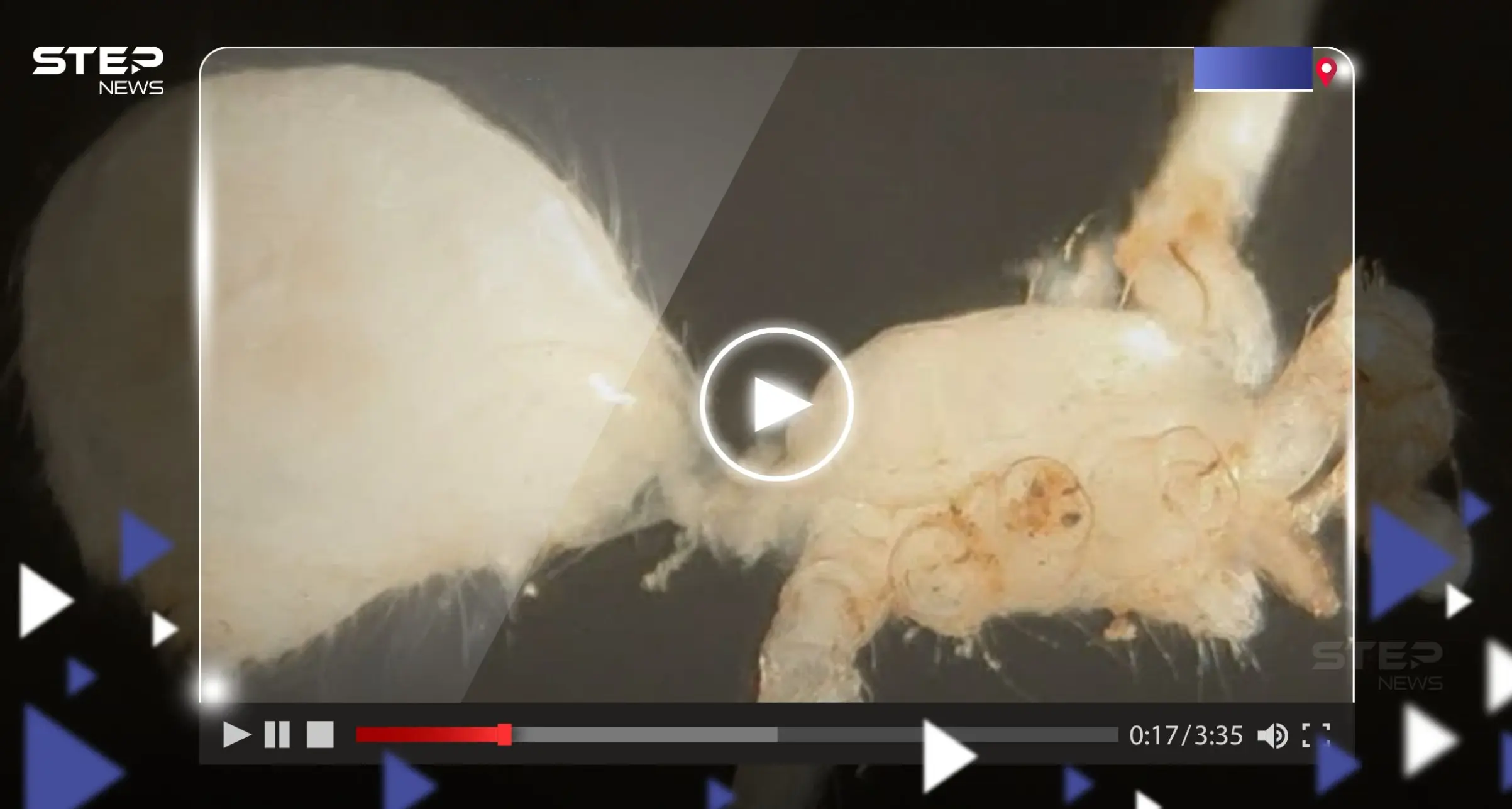 شاهد|| اكتشاف كائن غريب تحت الأرض بأقدام طويلة وجسد شاحب: غرائب وعجائب