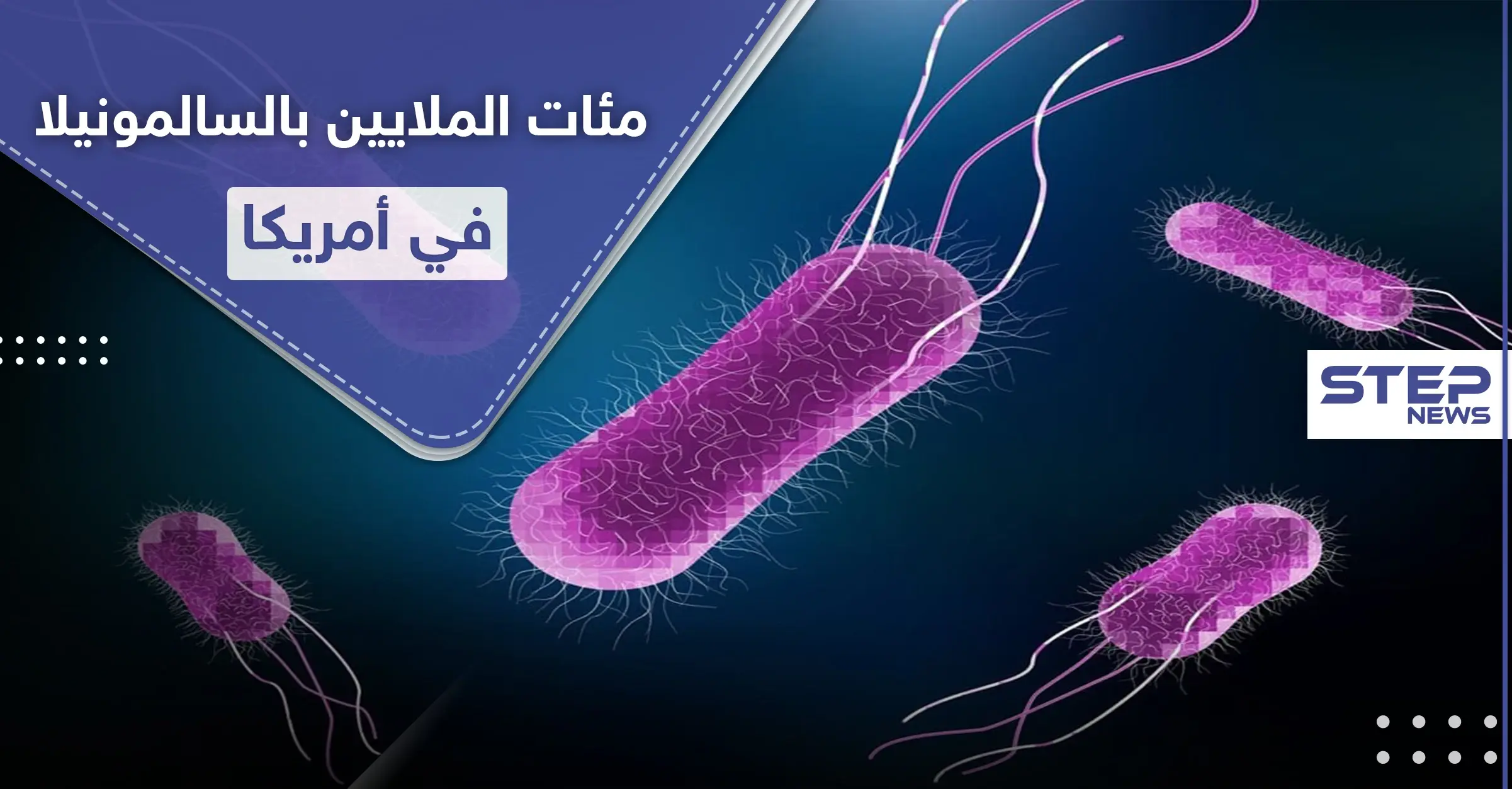 مئات المصابين بـ السالمونيلا في أمريكا.. ما هو مصدره وكيف نحمي أنفسنا منه!: الدواجن