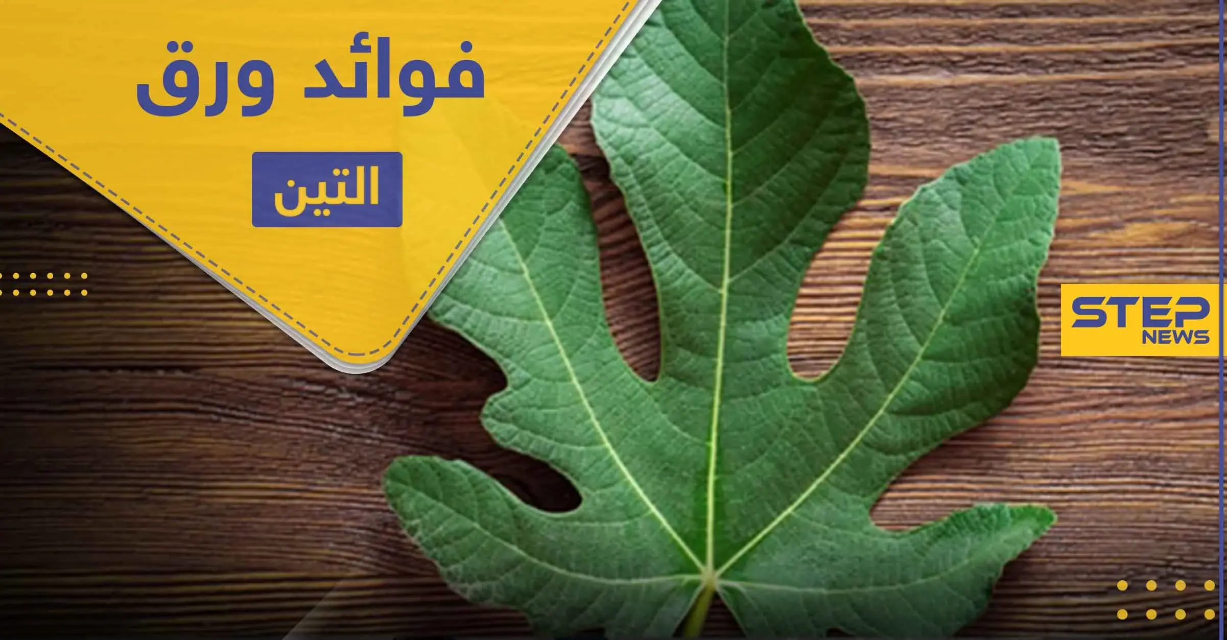 فوائد ورق التين لعلاج السكري والقلب وأعراضه الجانبية: الدهون الثلاثية