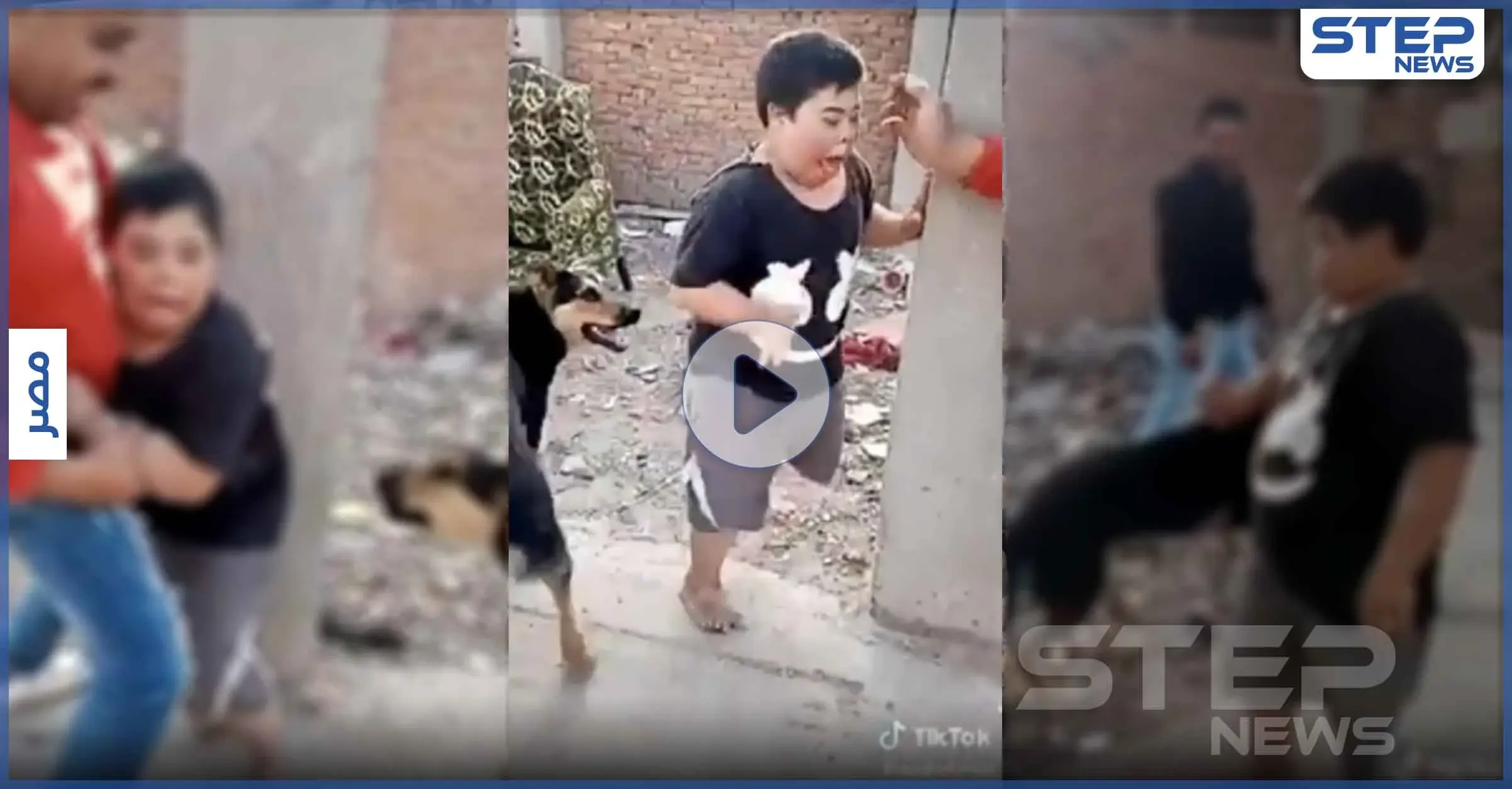 غضب مصري عارم على شابين أرهبا طفل من ذوي الاحتياجات الخاصة بكلب.. والسلطات تتحرك (فيديو): كلب مفترس