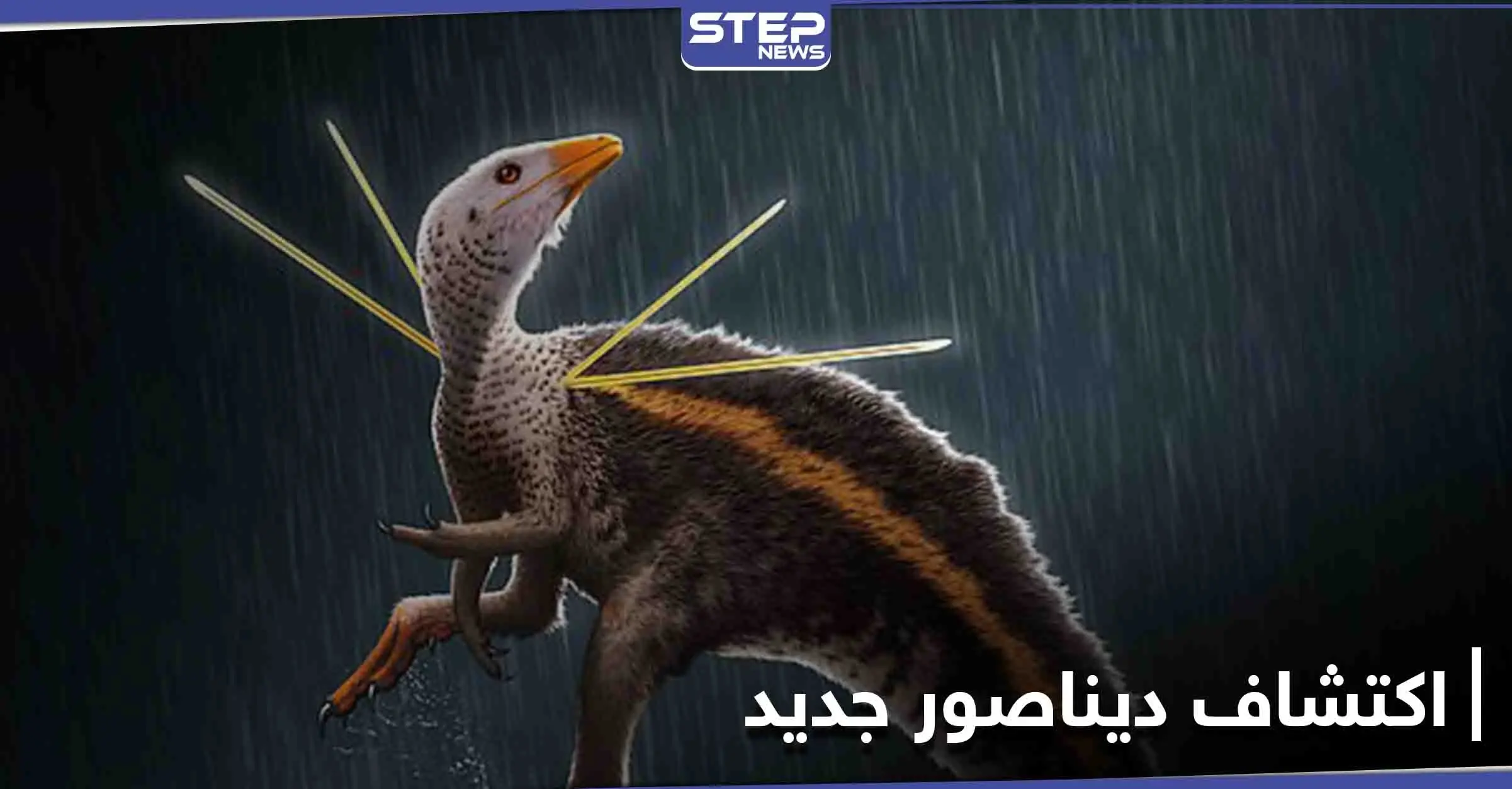 اكتشاف ديناصور بحجم الدجاجة يُكنّى بـ "سيد الرماح" مزود بإبر ويشبه الطاؤوس: جامعة بورتسموث