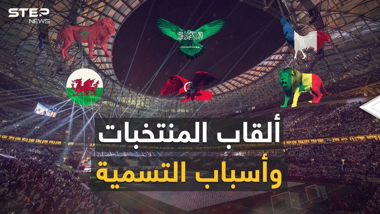 "ديناميت" و"تنانين" و"أسود" وحيوانات مفترسة أخرى.. أغرب القاب المنتخبات المشاركة في كأس العالم: فيديوغراف