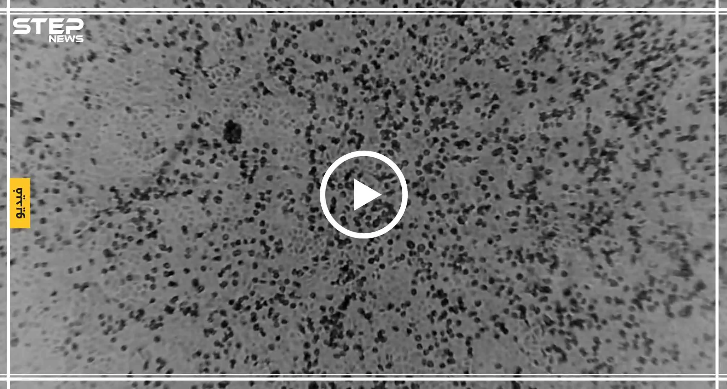 أوّل فيديو يظهر مراحل التطور السريع لفيروس "كورونا".. وعلماء يكتشفون نقطة التحول: فيروس كورونا