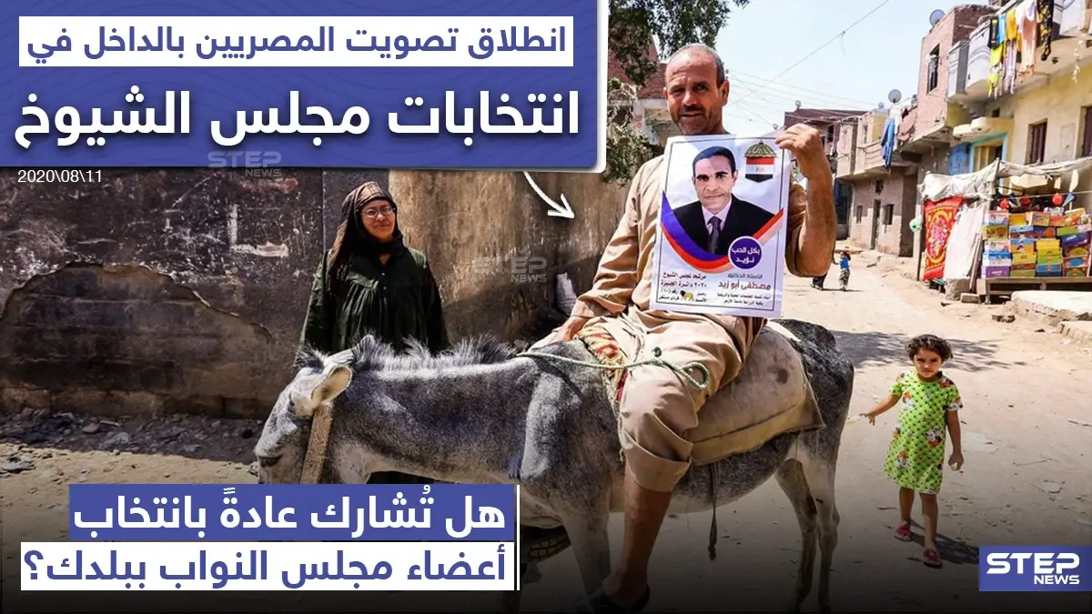 المصريون في الداخل يصوتون في انتخابات مجلس الشيوخ: انتخابات مجلس الشيوخ