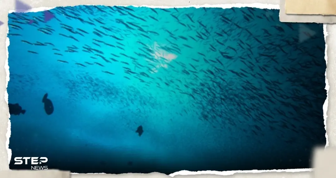 هذا ما سيحدث لجسم الإنسان داخلها.. تعرف على أخطر نقطة بالمحيطات ومدة البقاء حياً فيها: غواصة تيتان