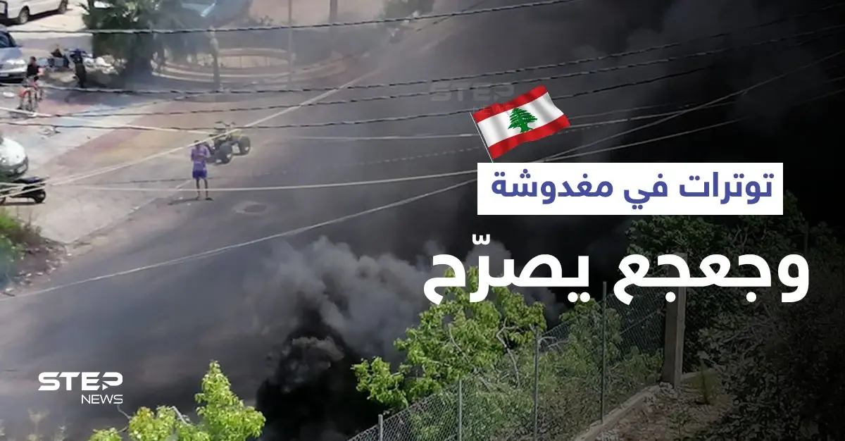 ضرب للأهالي وتكسير للمزارات والسيارات في بلدة مغدوشة اللبنانية والجيش يتدخل (فيديو وصور): الترند