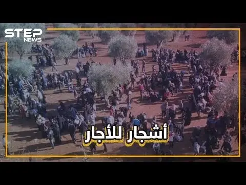 هل تصدق!! بعض أهالي شمال إدلب يؤجرون "ظلال الأشجار" للنازحين من القصف!!: سلايد رئيسي