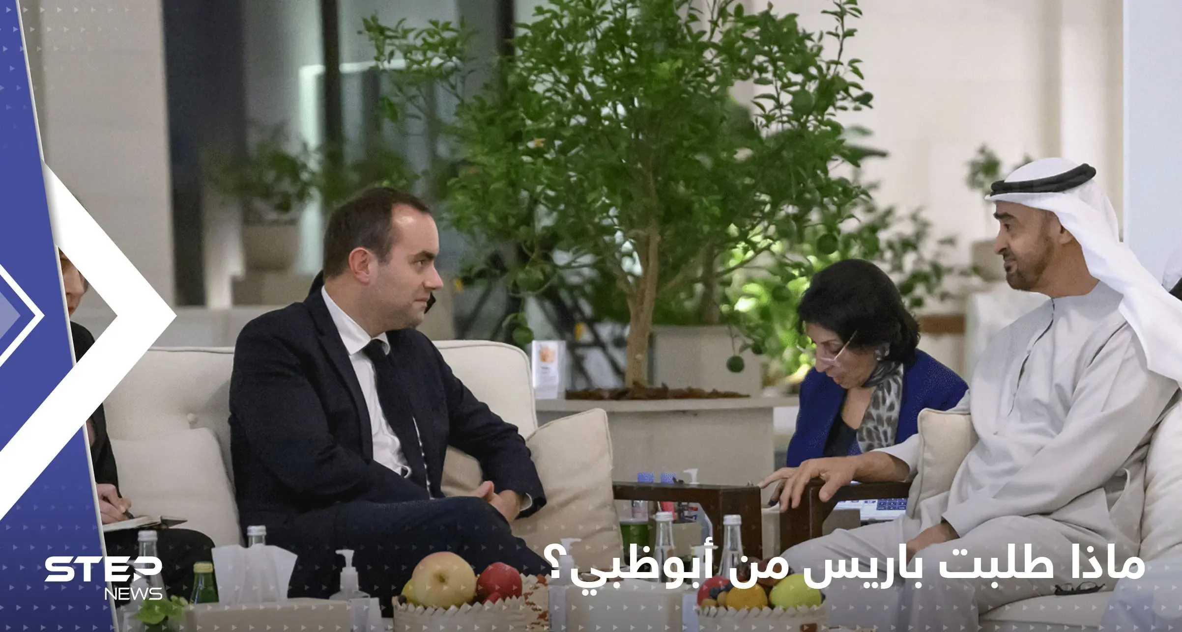 تفاصيل اجتماع مهم بين وزير الجيوش الفرنسي ورئيس الإمارات.. ماذا طلبت باريس من أبوظبي؟: محمد بن زايد آل نهيان