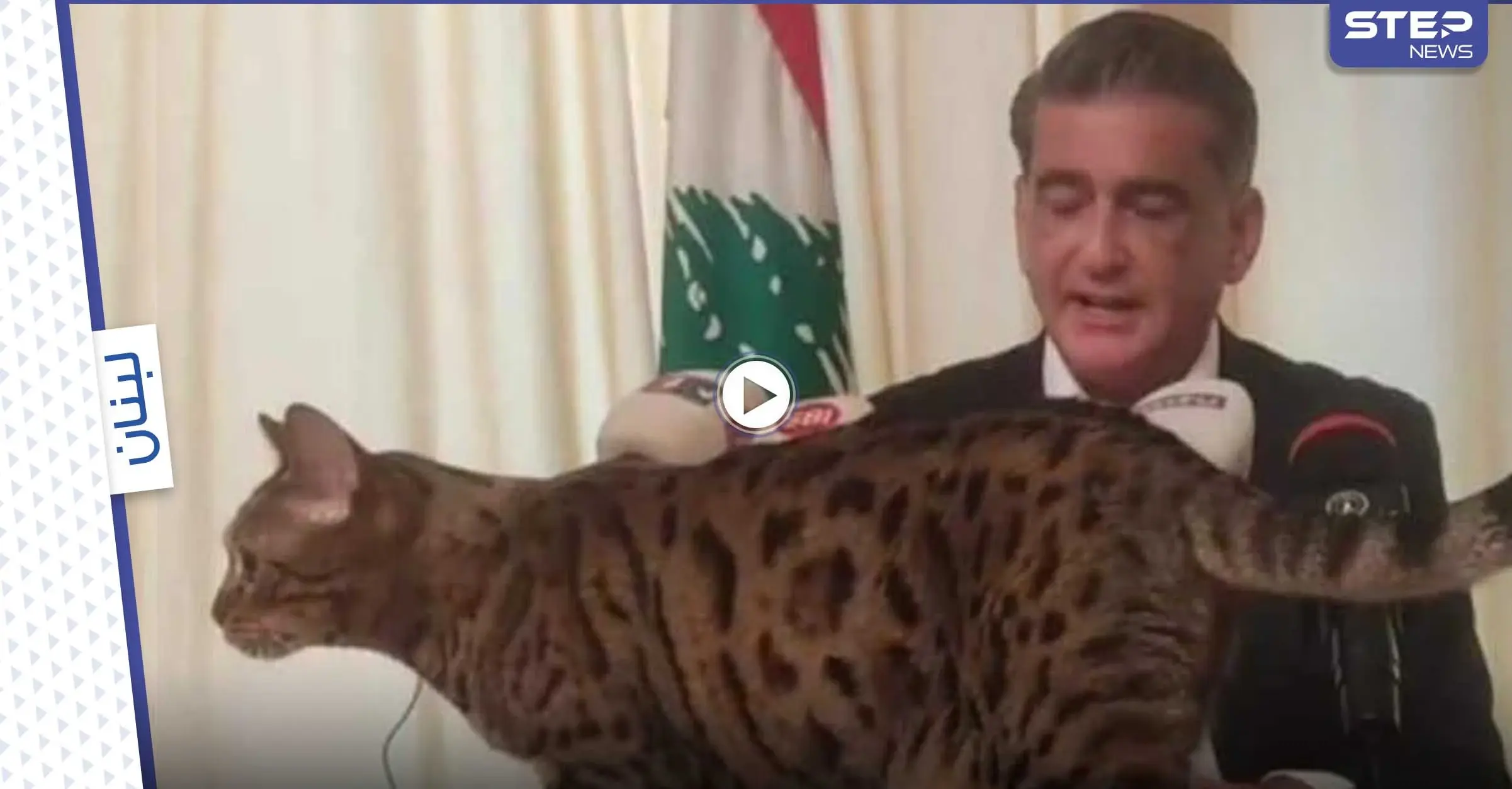 بالفيديو|| هرّة تقتحم مؤتمر صحفي لنائب لبناني سابق.. وردة فعل الأخير لافتة: قطة