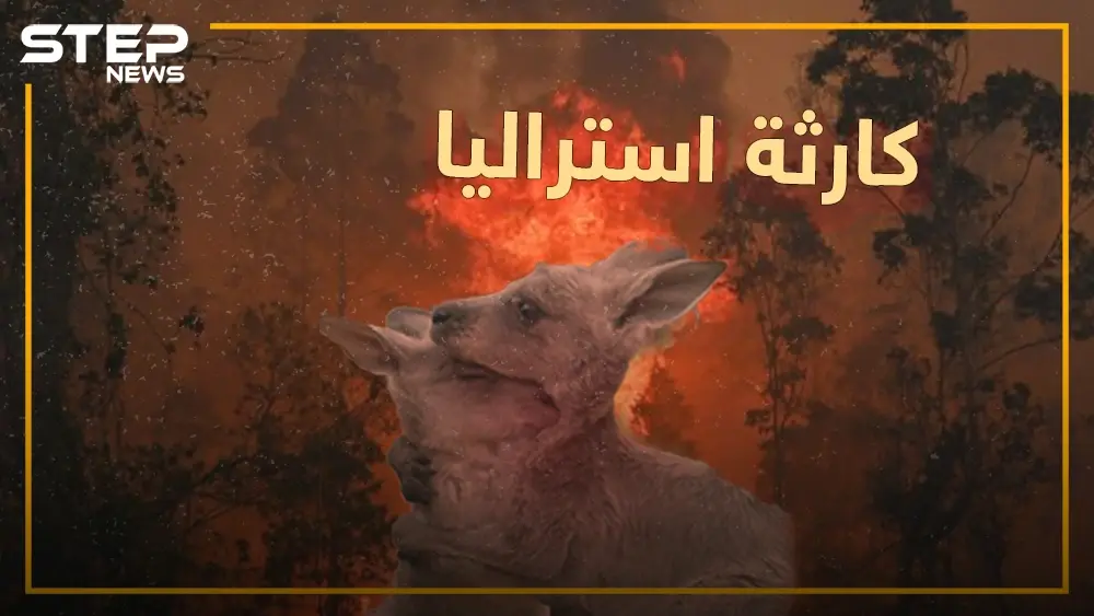 نصف مليار كائن اختفى من الكوكب بسبب حرائق استراليا..: حيوانات