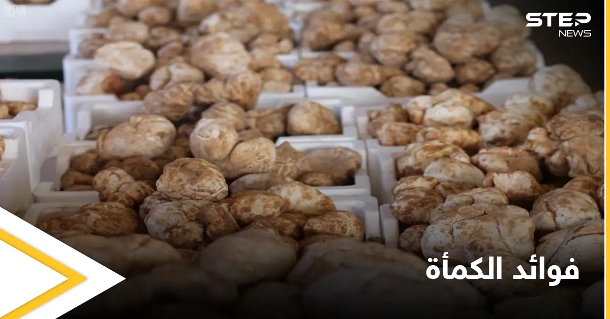 الكمأة.. فوائد صحية عديدة في ثمرة نادرة: محاربة السرطان