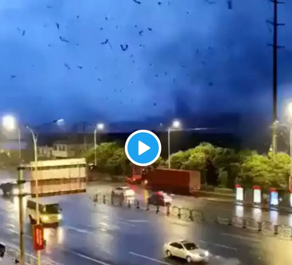 بالفيديو|| تجاوزت سرعتهما 100كم/س.. إعصاران مدمران يخلفان قتلى وجرحى في الصين: إعصار مدمر في ووهان