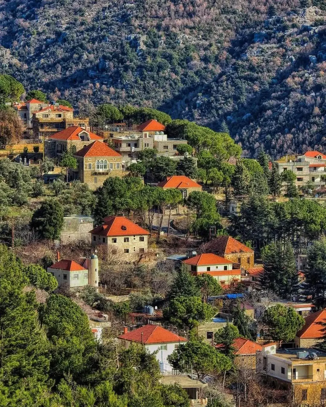 لبنان - عدسة الجمهور - وكالة ستيب نيوز