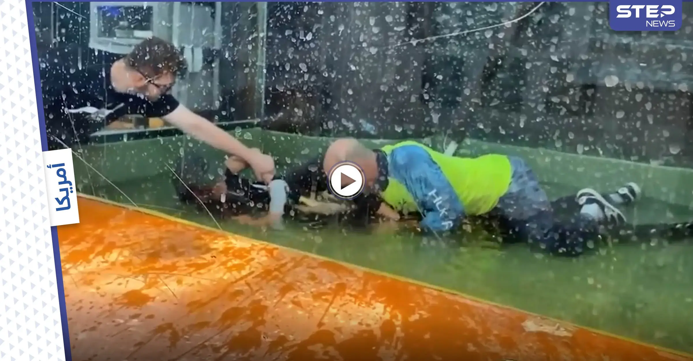 بالفيديو|| لحظات تحبس الأنفاس لإنقاذ مدربة حيوانات من فكي تمساح أمسكها وأسقطها في الماء محاولاً افتراسها: تمساح