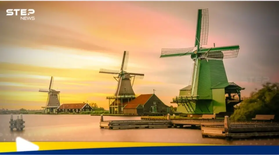 شروط الحصول على الجنسية الهولندية وطريقة التقديم: هولندا