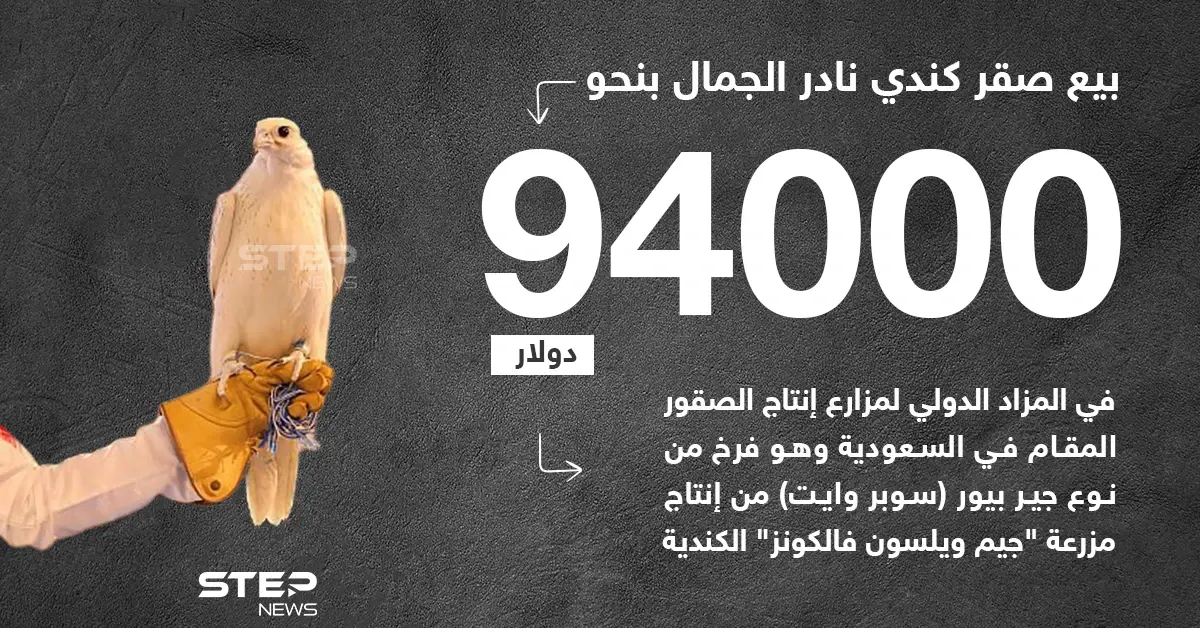 بيع صقر كندي نادر الجمال بمبلغ قياسي في السعودية: خبر وصورة الخليج العربي