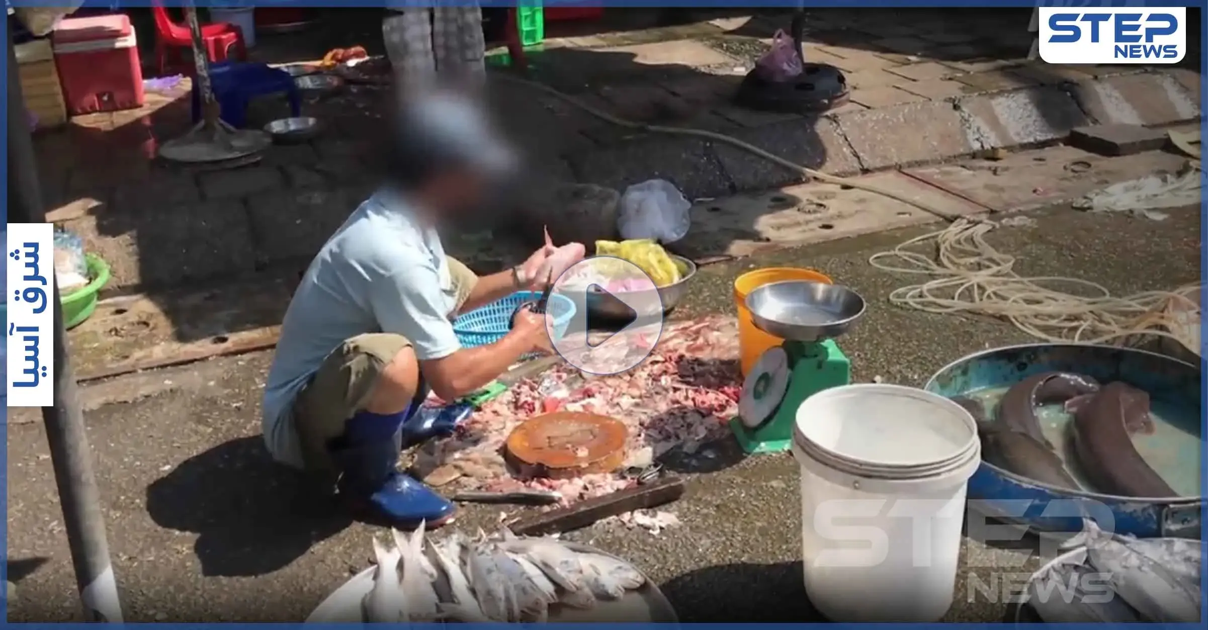 خفافيش وثعابين وقرود.. فيديو مخيف لأسواق آسيوية وتحذيرات عالمية من الموجة الثانية لـ كورونا (فيديو): الخفافيش