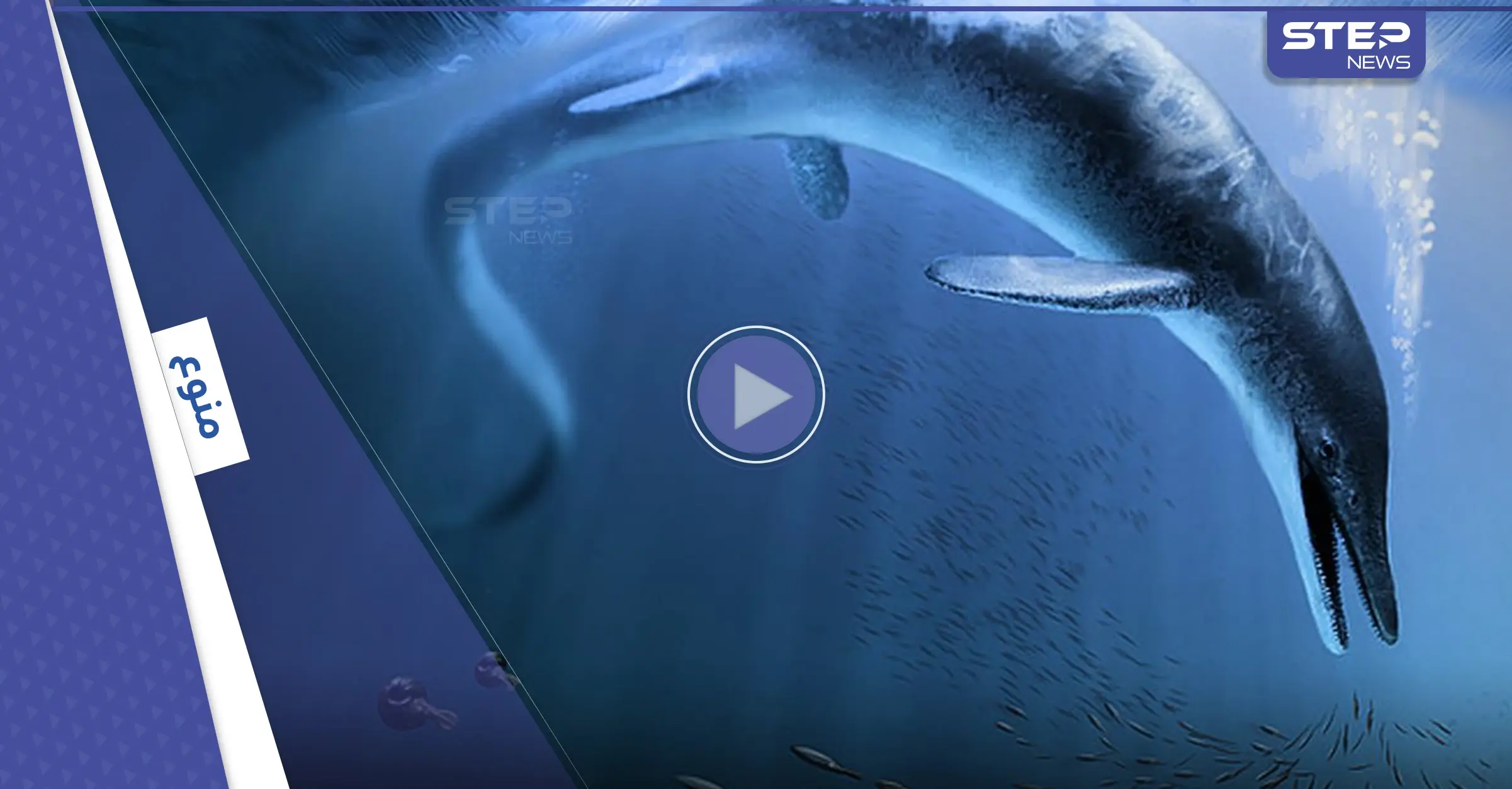 شاهد|| أول عملاق على وجه الأرض.. زاحف ضخم جاب كوكبنا قبل ملايين السنين: آثار