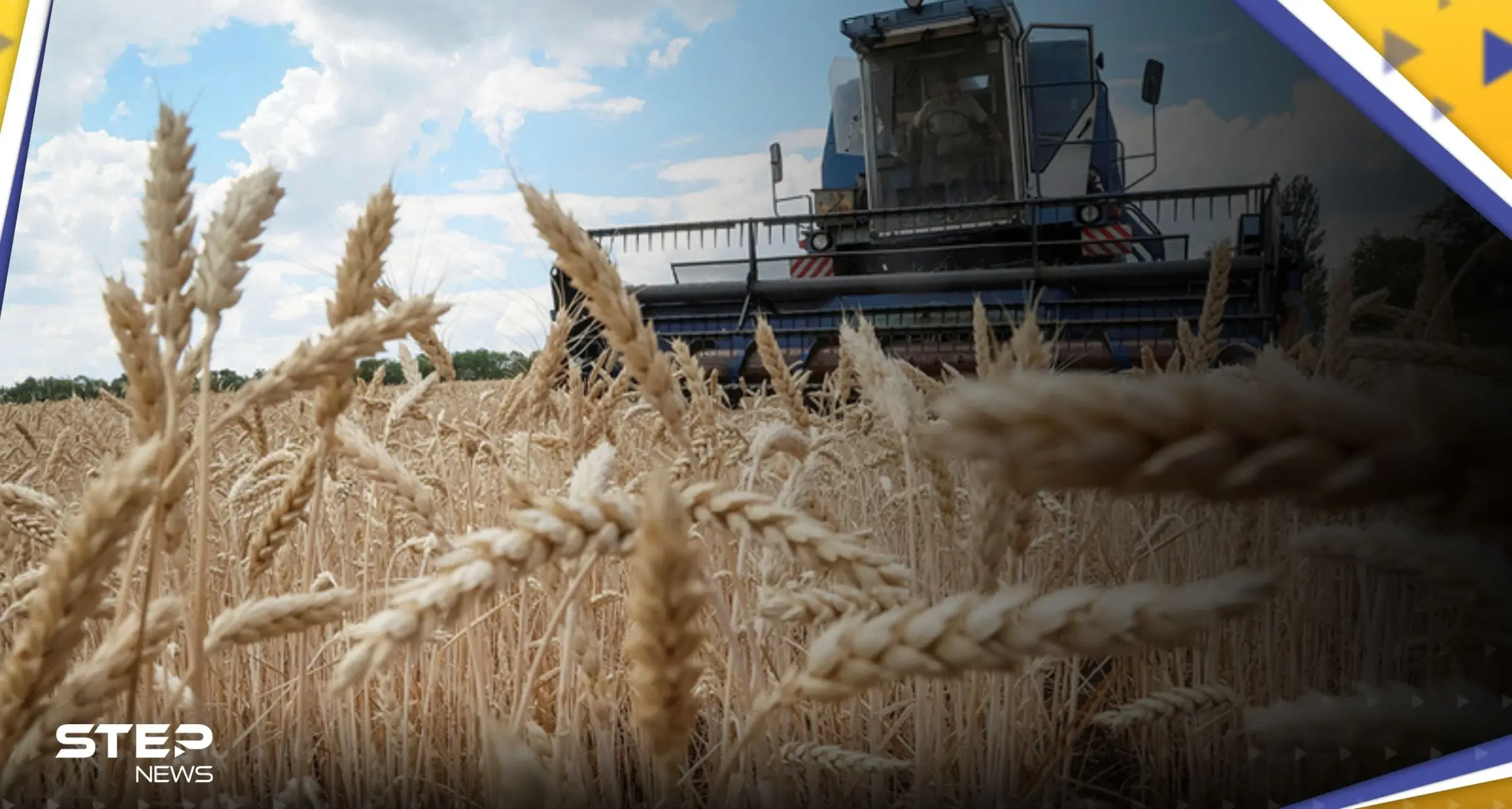 من مصر.. بيان روسي يتحدث عن معلومات "خطيرة" حول صفقة الحبوب وعلاقة أوروبا بها: بيان روسي