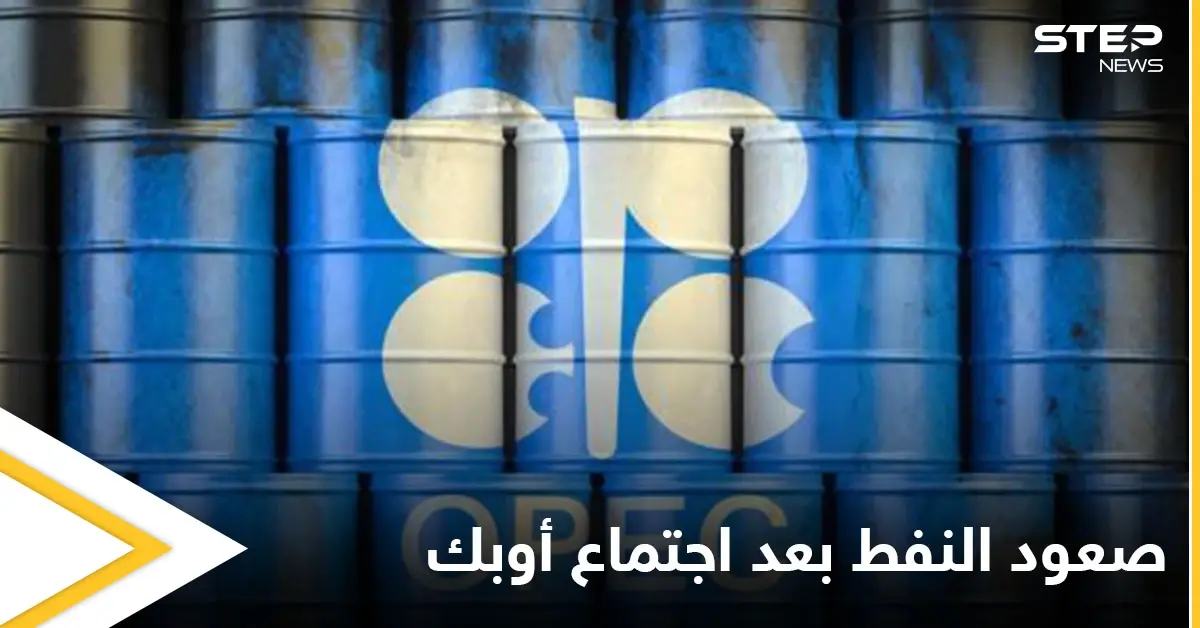أسعار النفط تقفز فور انتهاء اجتماع أوبك وتمسكها بزيادة الإنتاج: أوبك