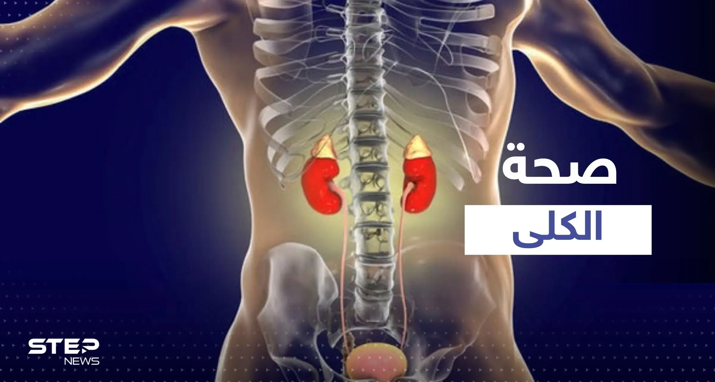 4 مشروبات شهيرة الإفراط في تناولها يضر بكليتك ويسبب تلفها.. احذر منها: صحة الكلى
