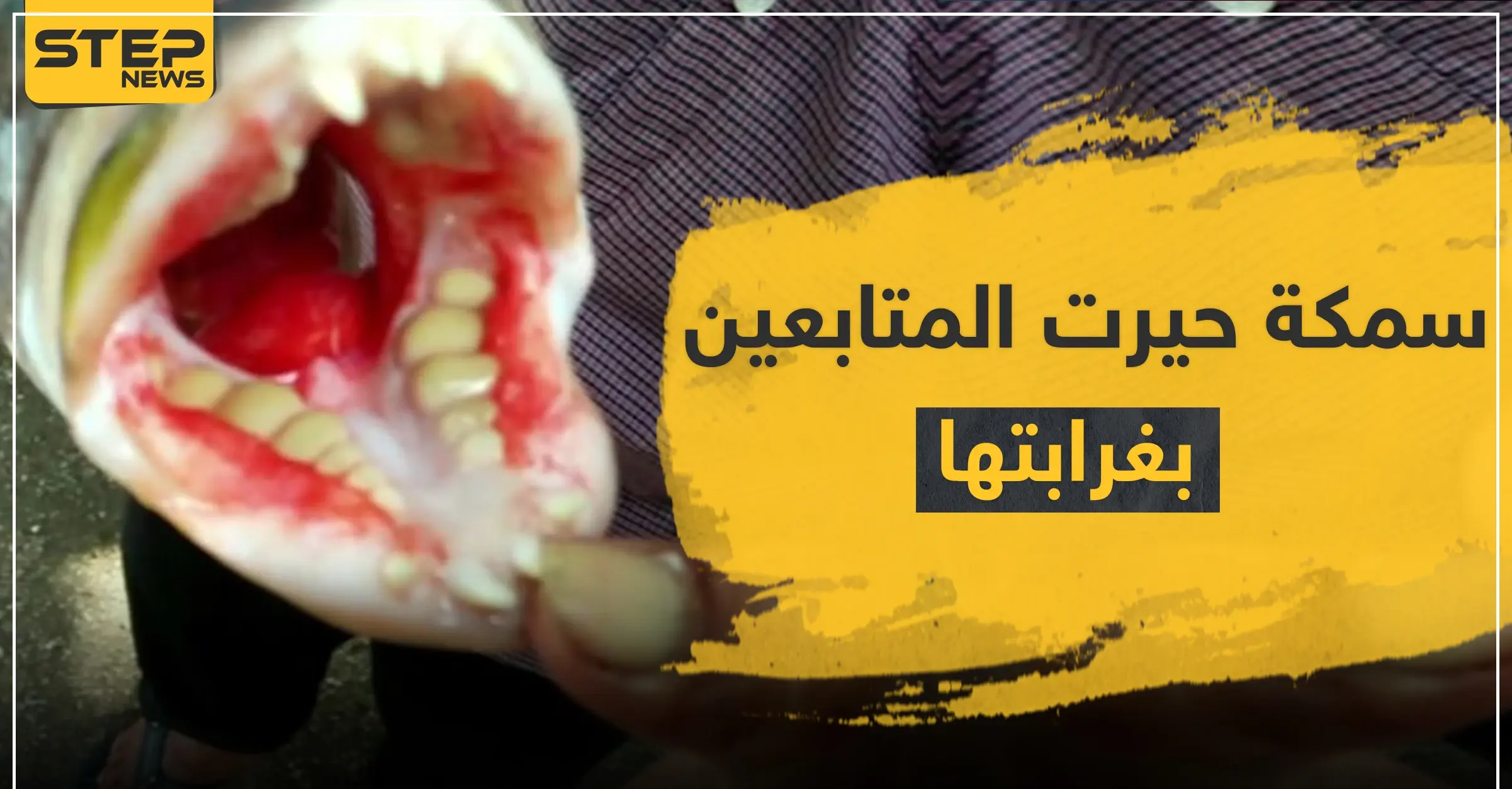 بالصور|| اكتشاف سمكة بأسنان بشرية تحيّر العلماء: صحيفة ذا صن