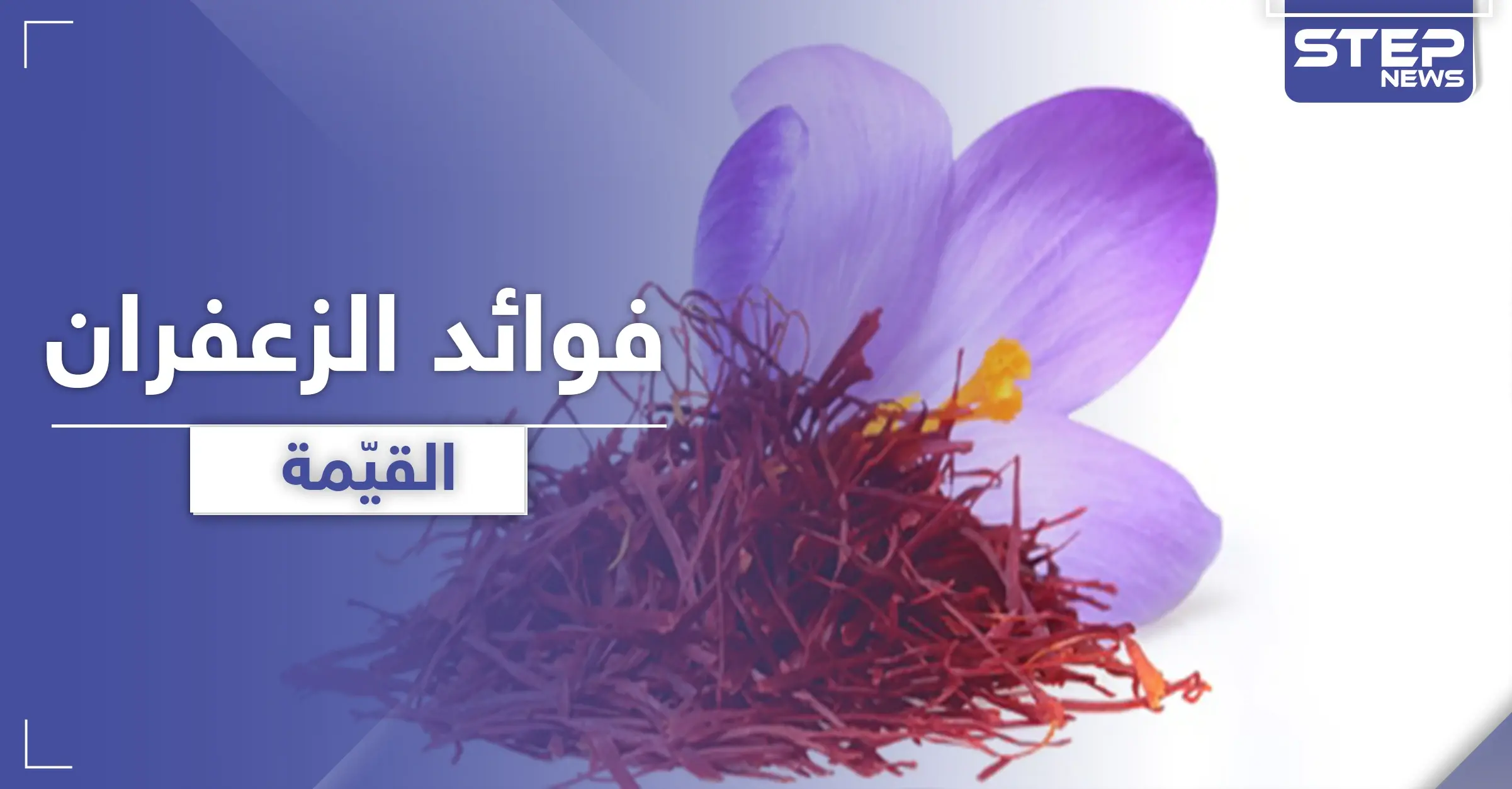 الزعفران مصدر لقيم غذائية عالية .. يحمي من تلف شبكية العين والزهايمر: مضادات الأكسدة