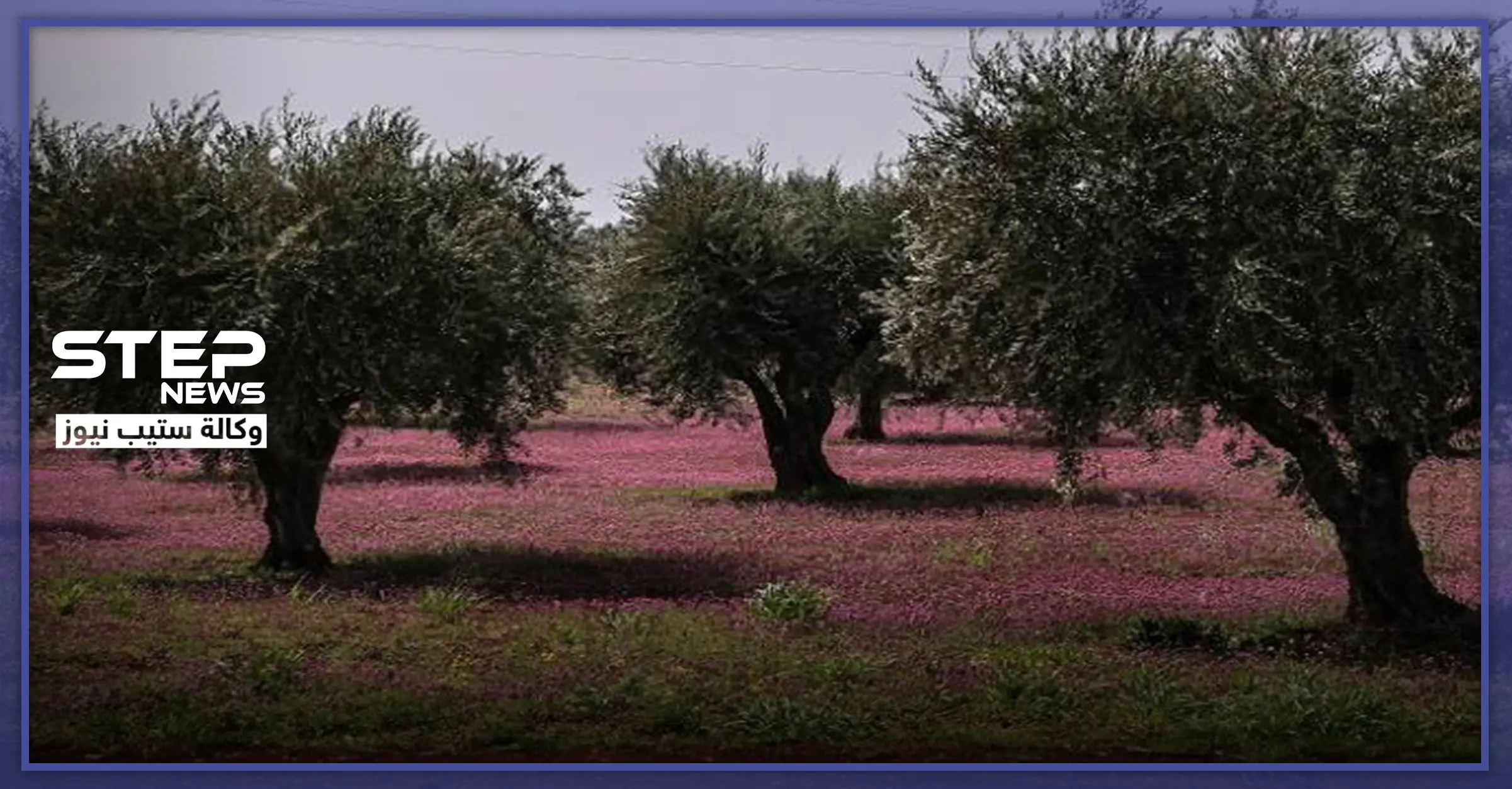 أسابيع قليلة حولّت أكبر ملّاكي الأراضي الزراعية جنوب إدلب لعامل بناء بأجرة زهيدة.. هذه قصة عبدو: قصص خبرية