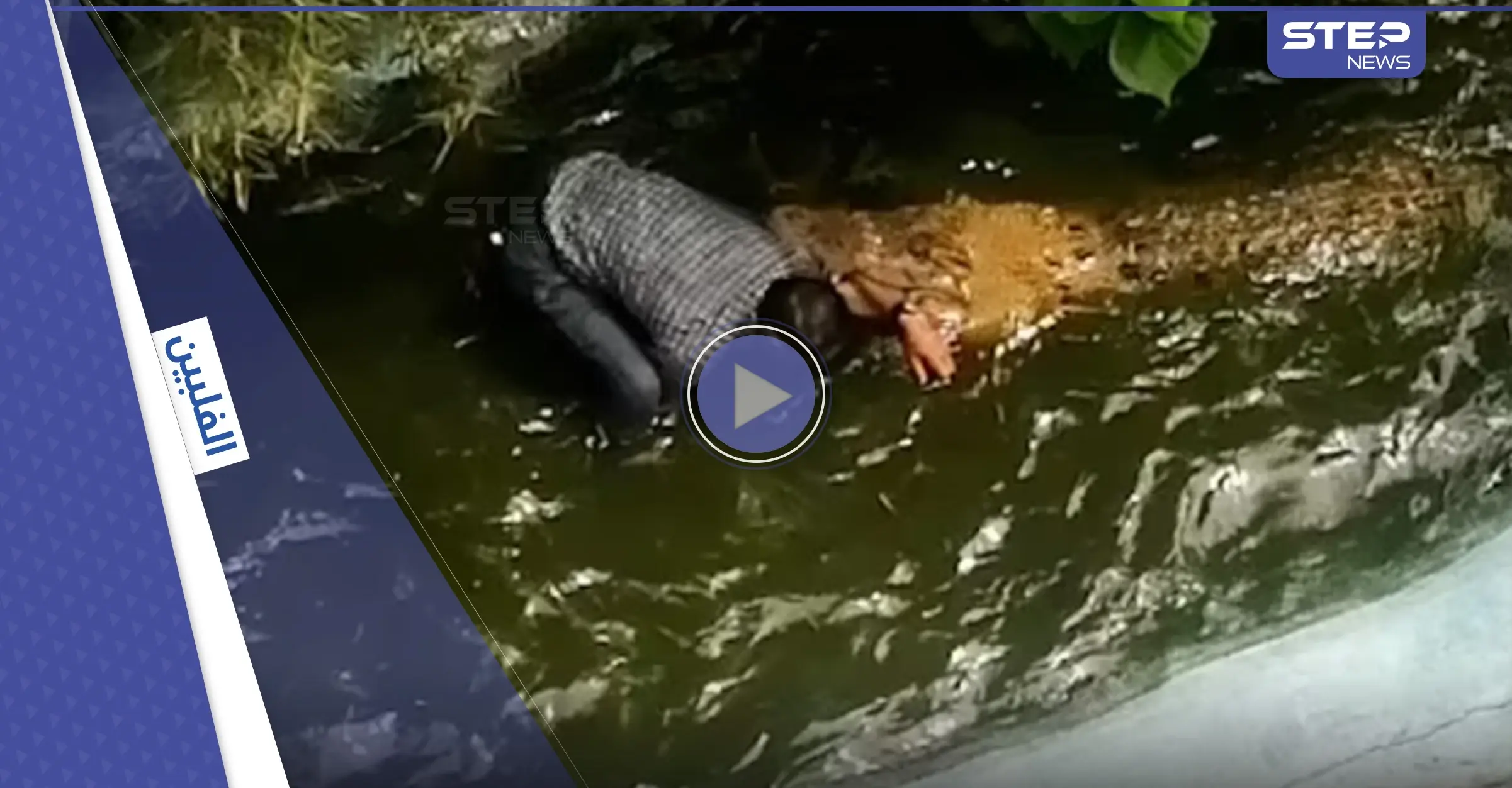 بالفيديو|| لحظات تحبس الأنفاس.. تمساح ينقض على سائح ويهاجمه بعنف بعد اقتراب الأخير منه ظناً أنه بلاستيكي: تمساح