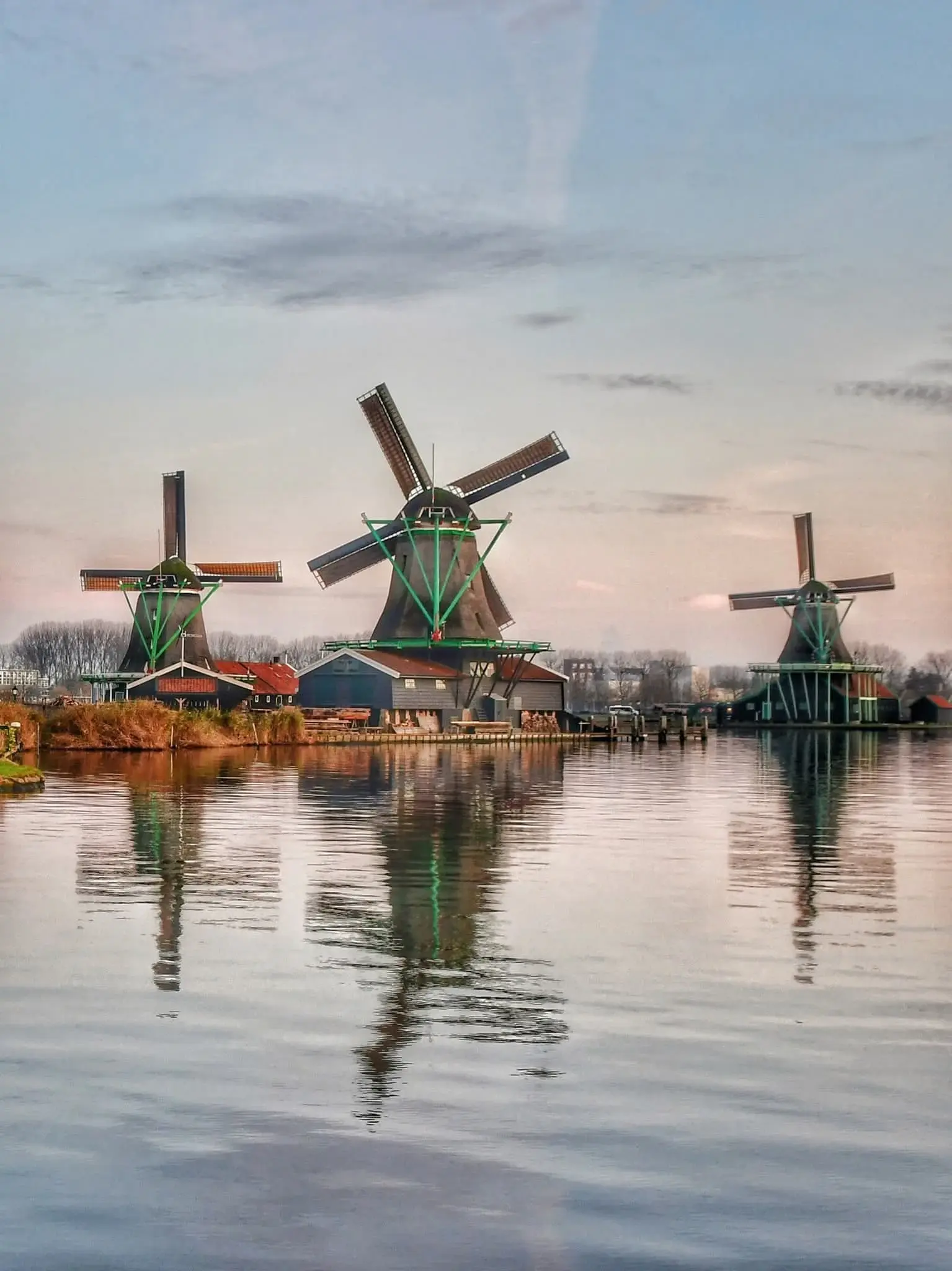 هولندا - عدسة الجمهور - وكالة ستيب نيوز