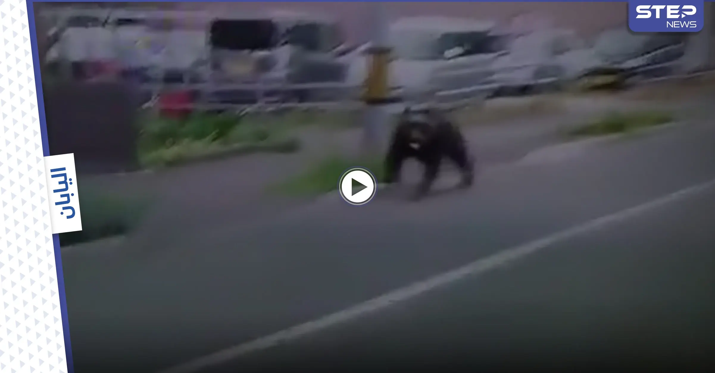 بالفيديو|| دب غاضب يقتحم معسكراً في اليابان ويصيب 4 أشخاص والسلطات تطلق النار عليه: مقطع مصور