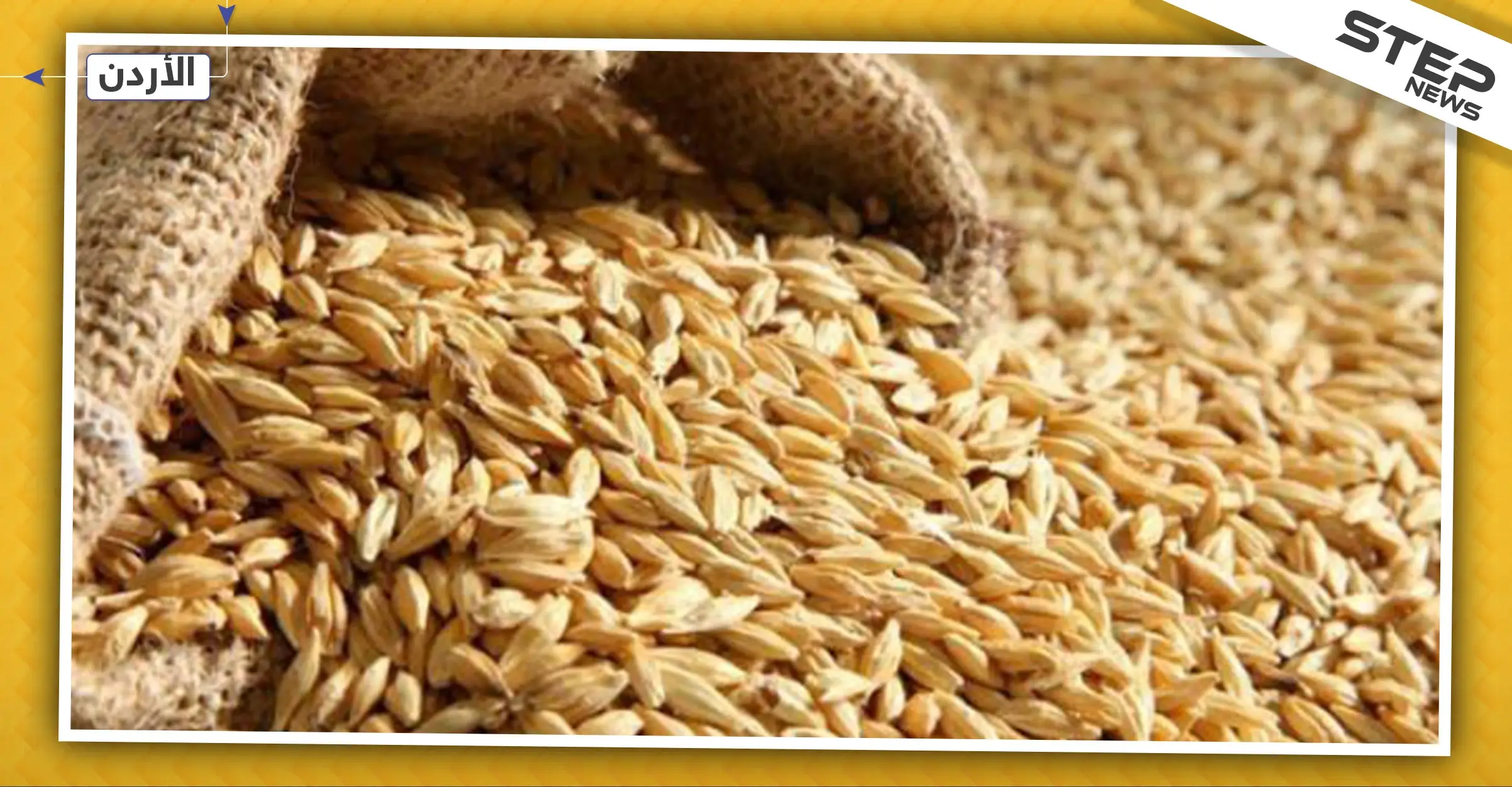 الشعير السوري يحقق وفرًا بـ 30 مليون دولار للأردن: الحكومة الأردنية