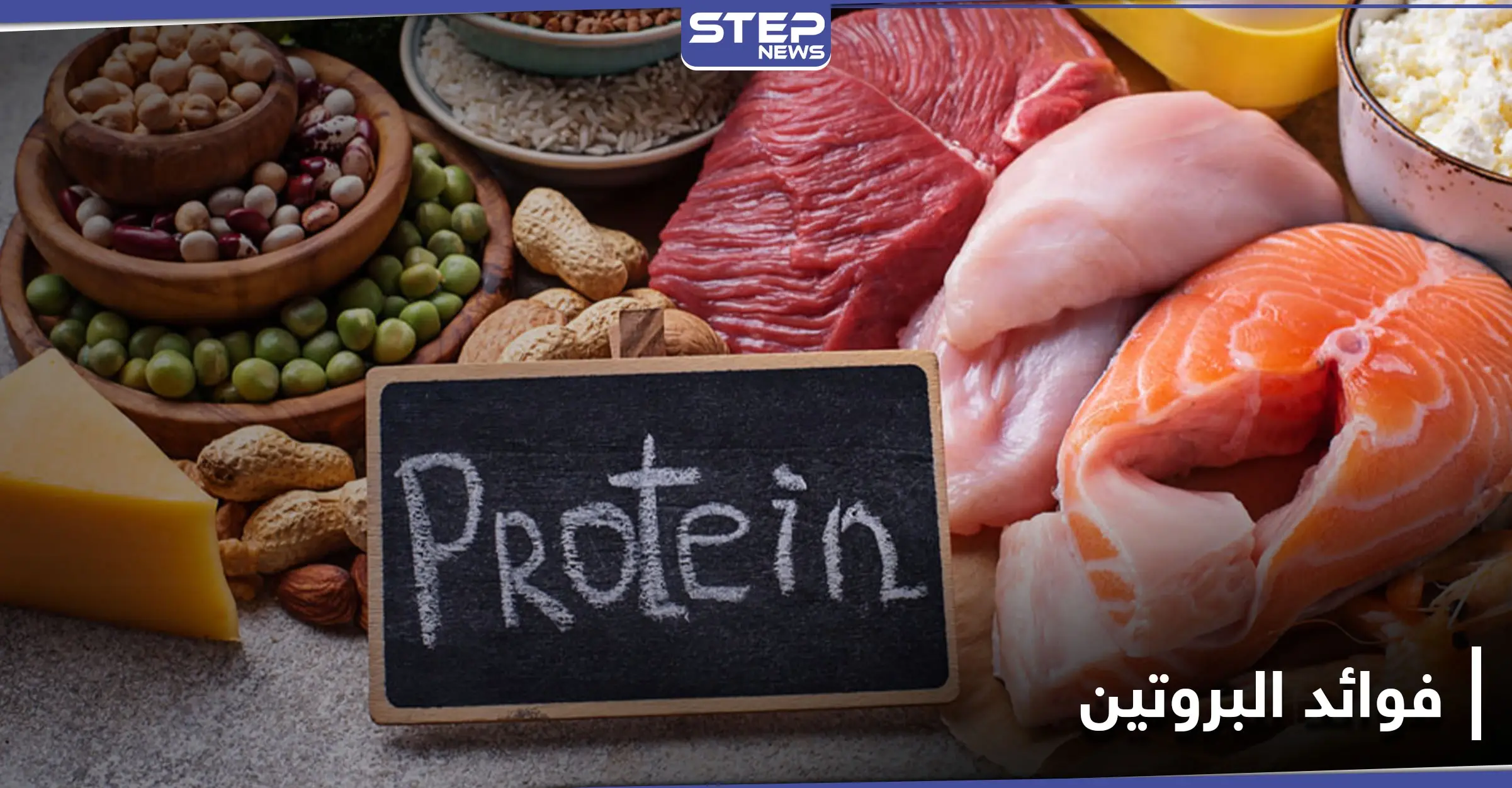 فوائد البروتين لصحة جهاز المناعة وشفاء الجروح وبناء الخلايا: البنكرياس