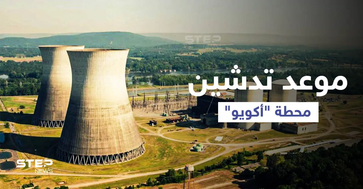 من سوتشي... أردوغان يكشف موعد تدشين أول محطة طاقة نووية في تركيا: محطة "أكويو"