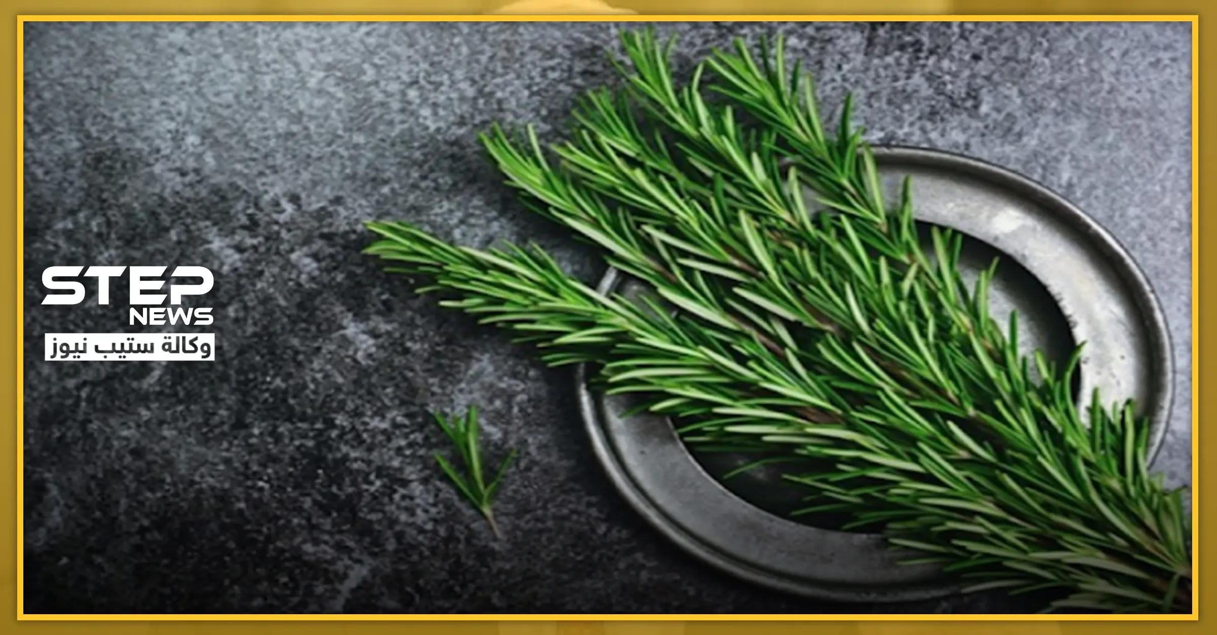 لمحاربة الإكتئاب ومشاكل الذاكرة عند الأطفال.. ينصح بتناول هذه الأعشاب: النعناع