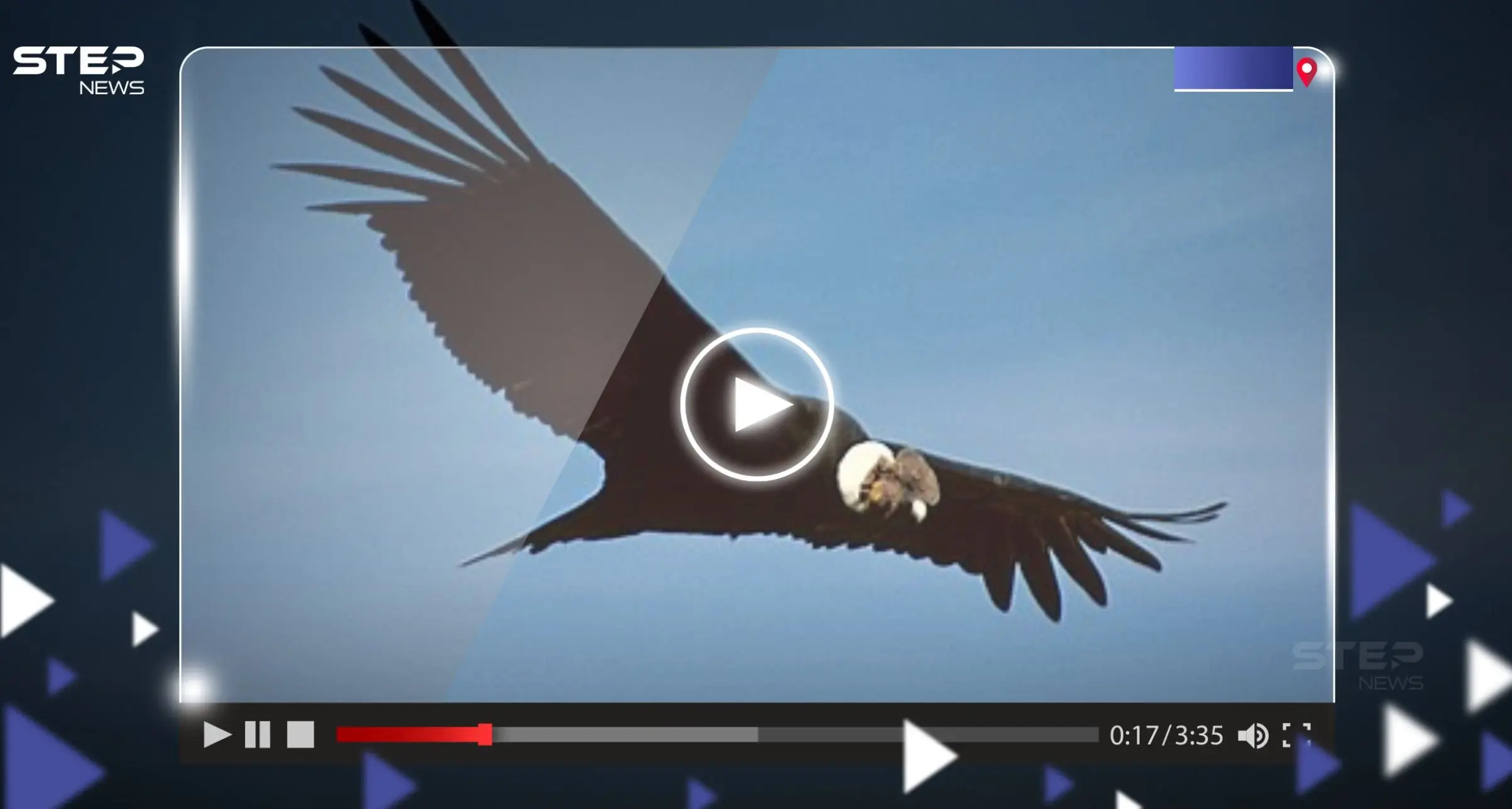 شاهد|| واقعة "صادمة".. طائر ضخم يهاجم طائرة ويضع قائدها بموقف لا يحسد عليه: طائرة